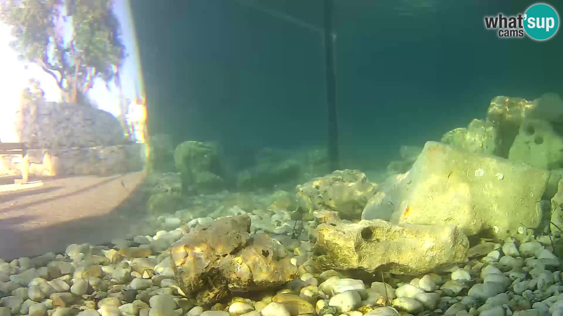 Outdoor Marine Aquarium Rogoznica webcam Croatia