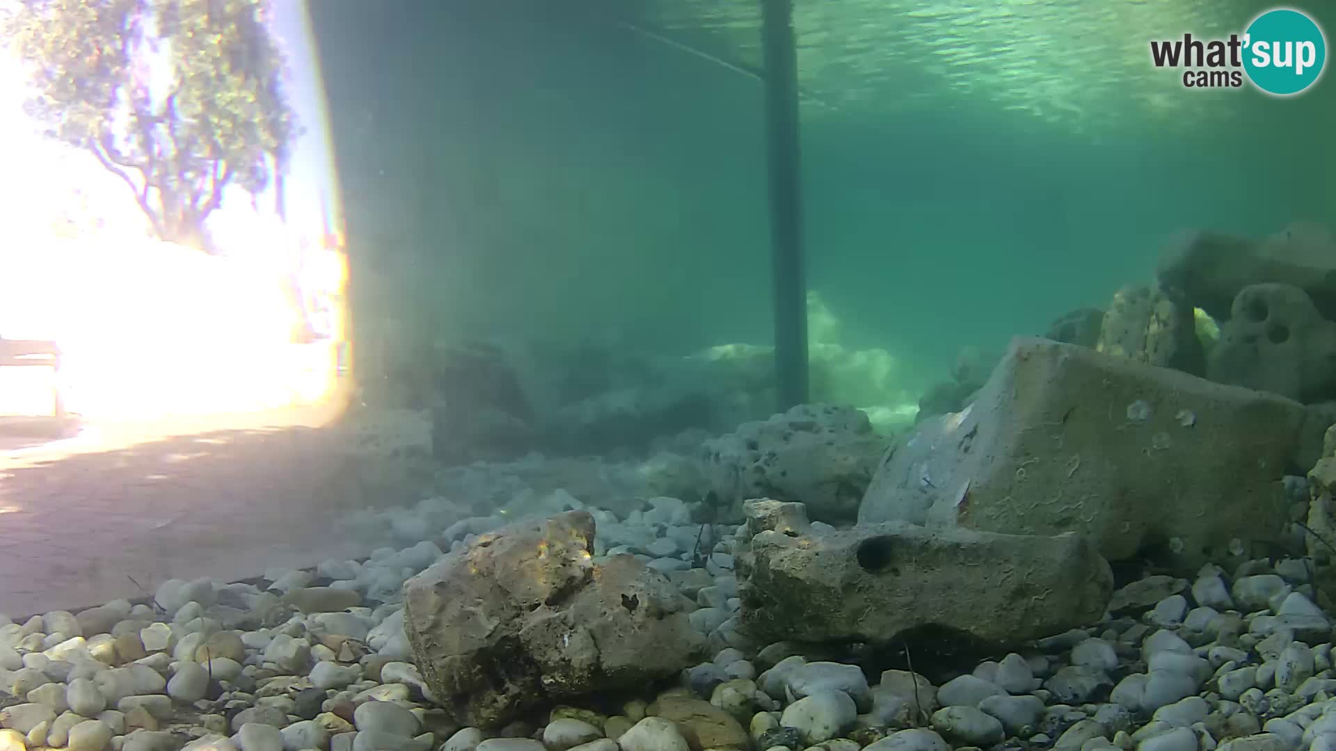 Webcam de l’aquarium marin extérieur de Rogoznica Croatie