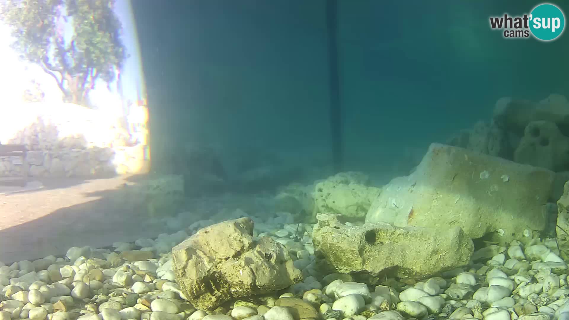 Webcam de l’aquarium marin extérieur de Rogoznica Croatie