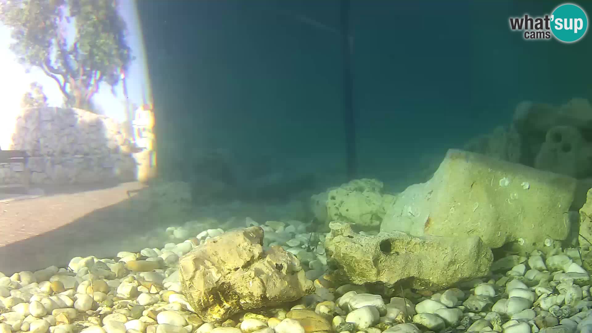 Marine Aquarium im Freien Rogoznica webcam Kroatien