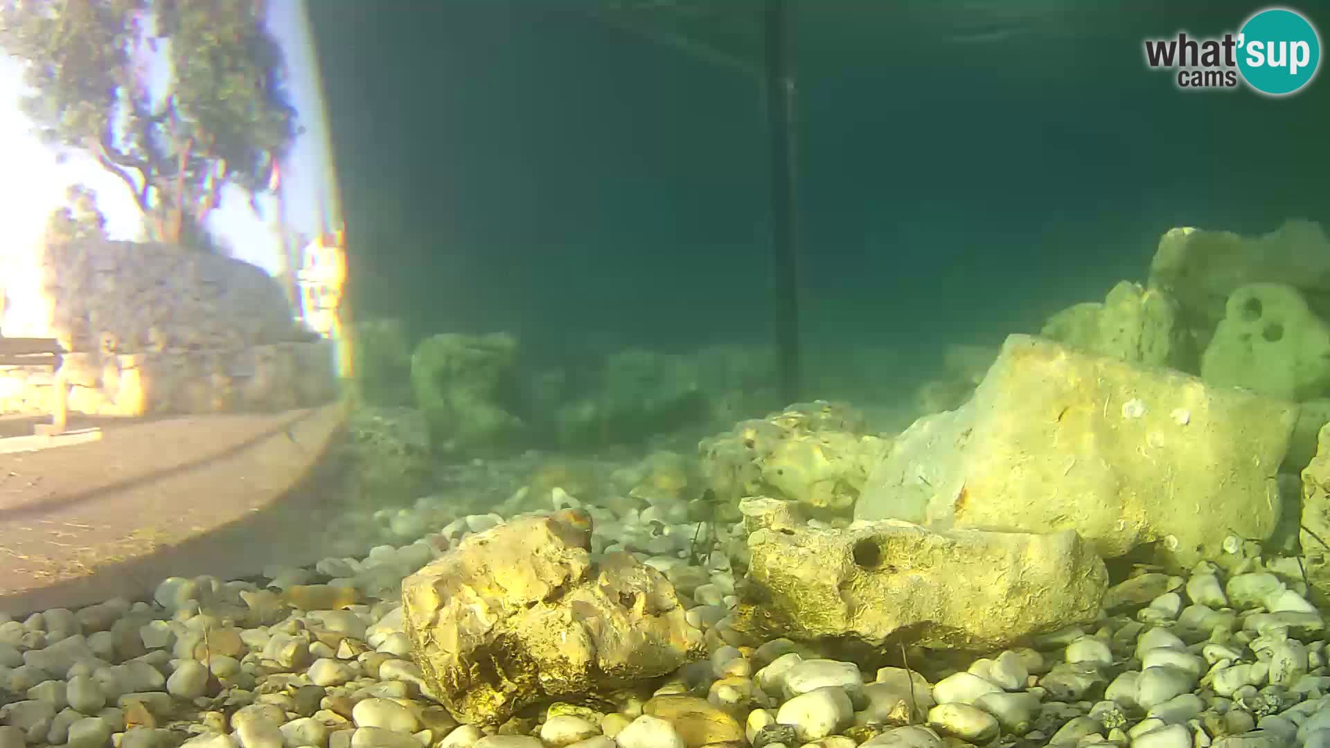Zunanji morski akvarij Rogoznica spletna kamera Hrvaška