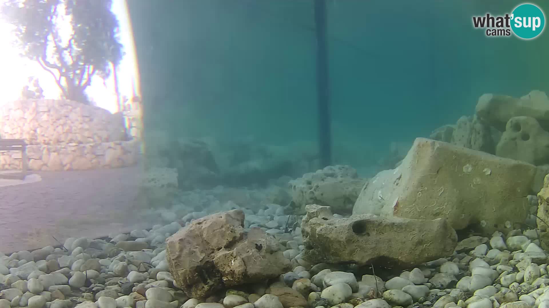 Outdoor Marine Aquarium Rogoznica webcam Croatia