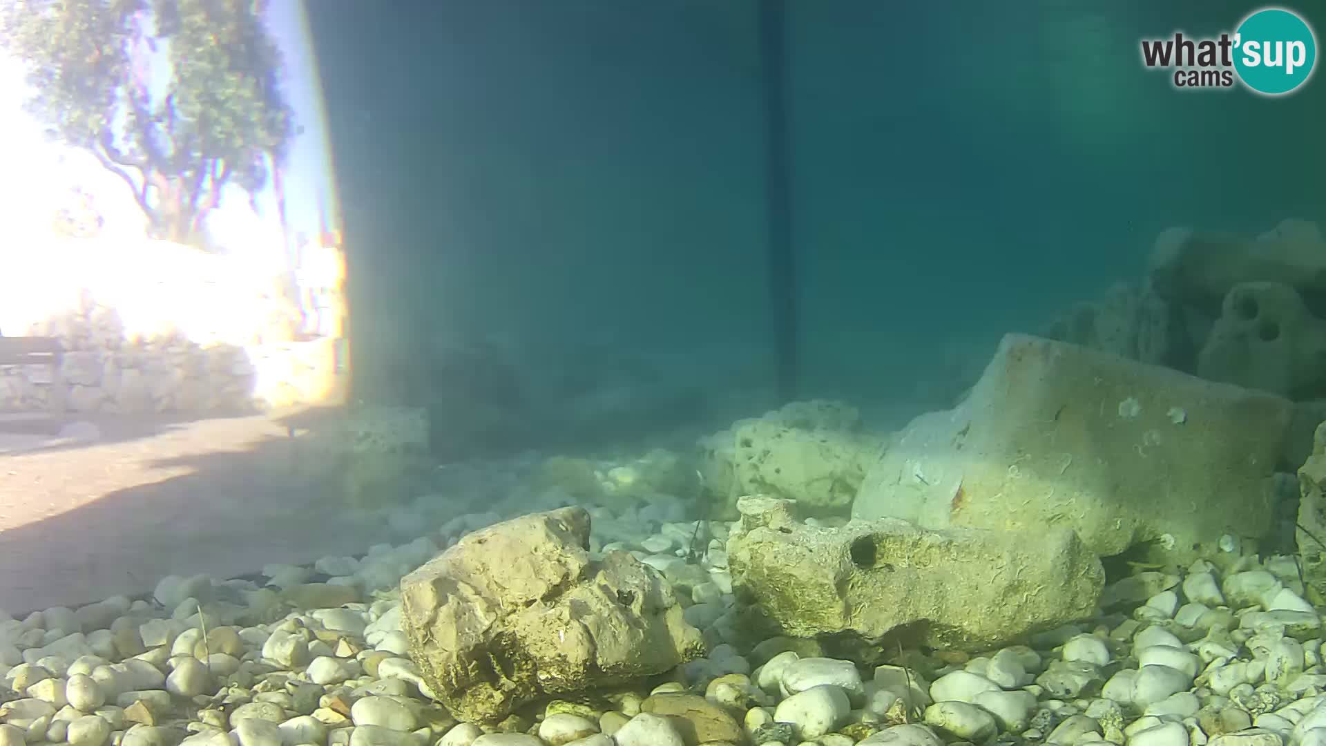 Outdoor Marine Aquarium Rogoznica webcam Croatia
