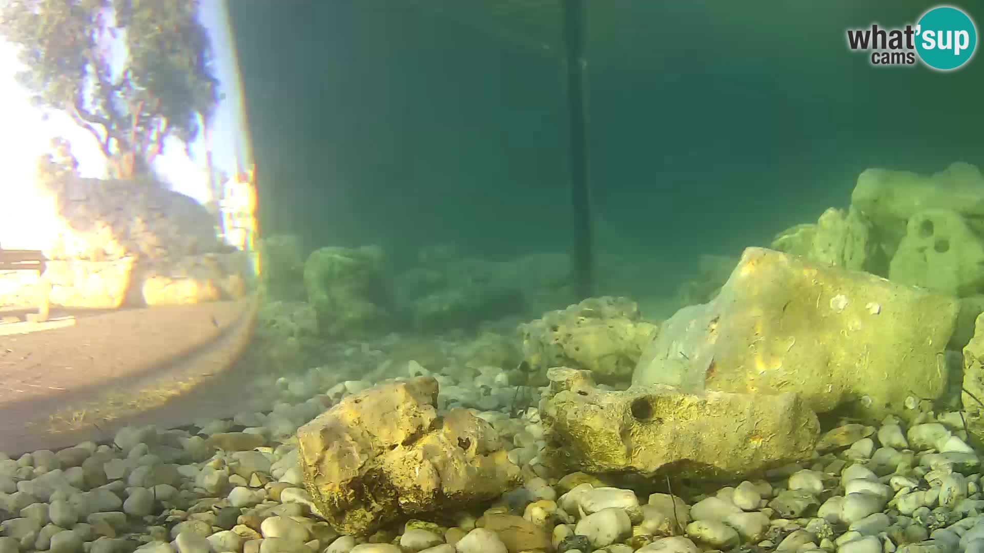 Aquario marino esterno –  Rogoznica livecam Croazia