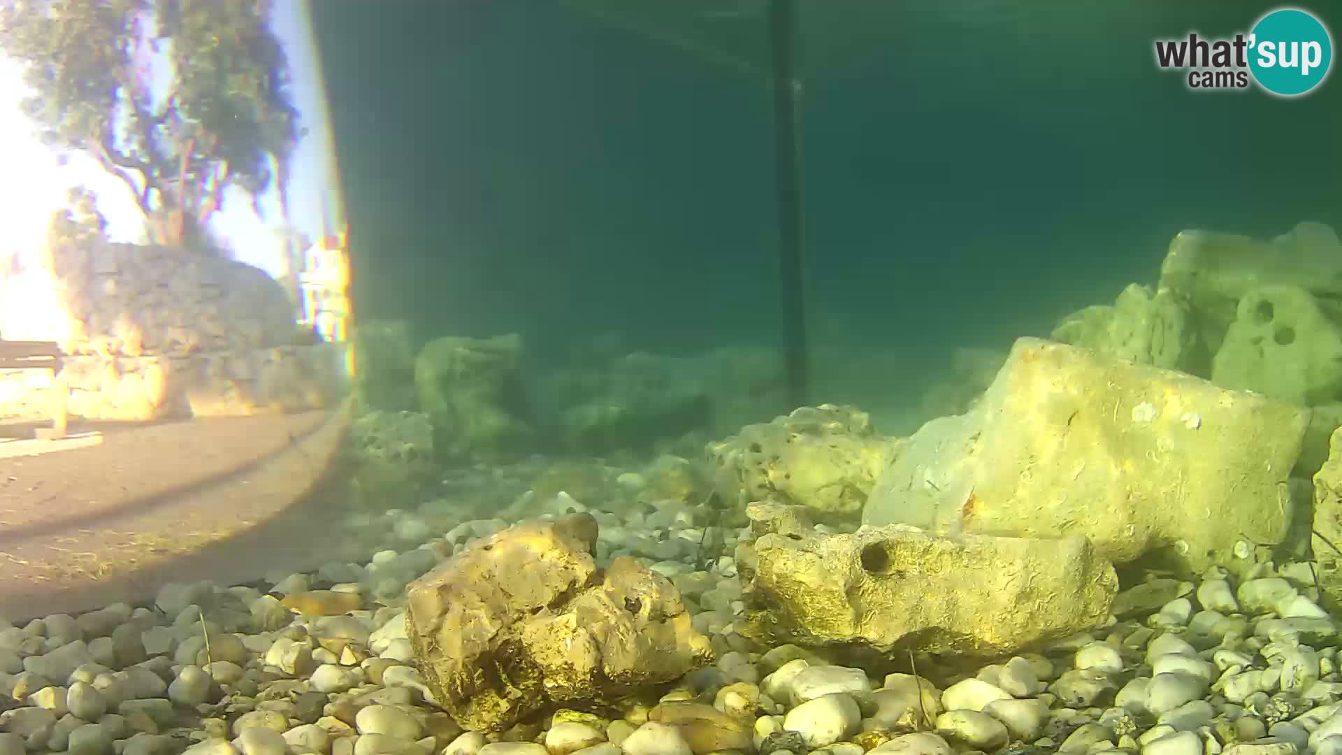Aquario marino esterno –  Rogoznica livecam Croazia