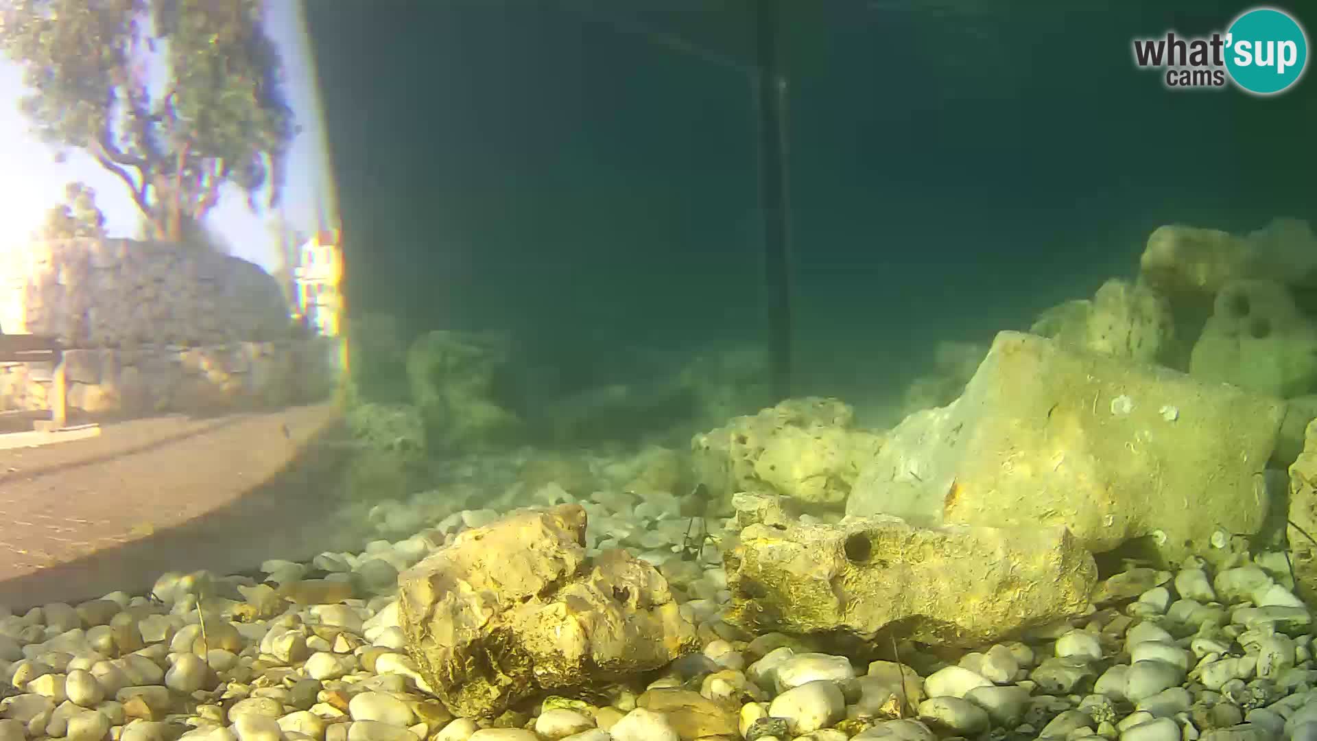 Aquario marino esterno –  Rogoznica livecam Croazia