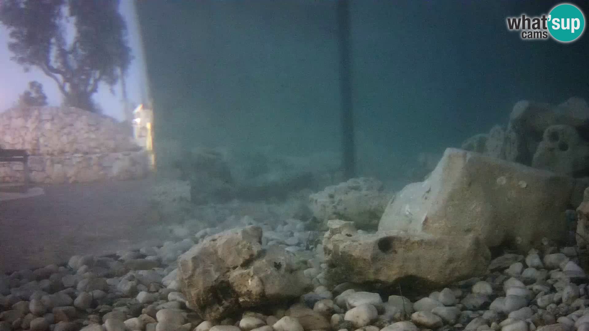Marine Aquarium im Freien Rogoznica webcam Kroatien