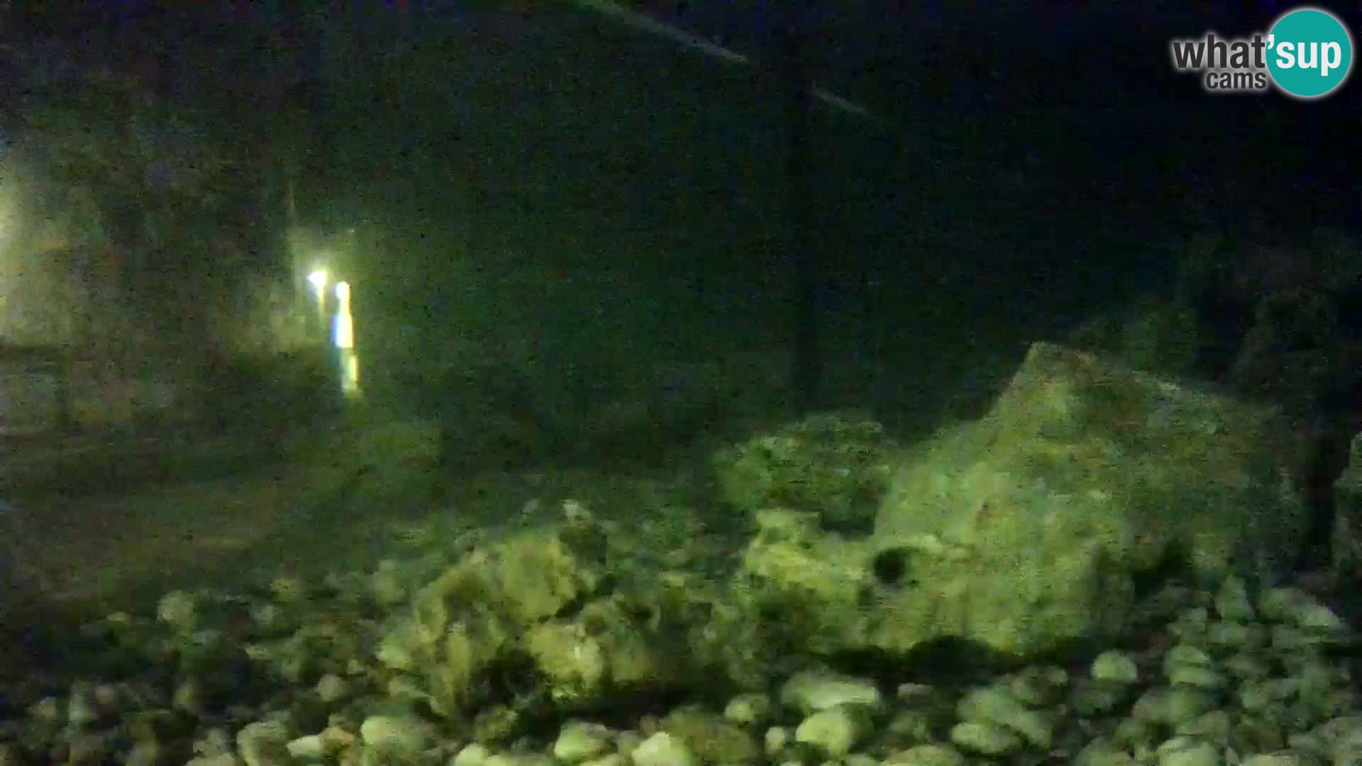 Marine Aquarium im Freien Rogoznica webcam Kroatien