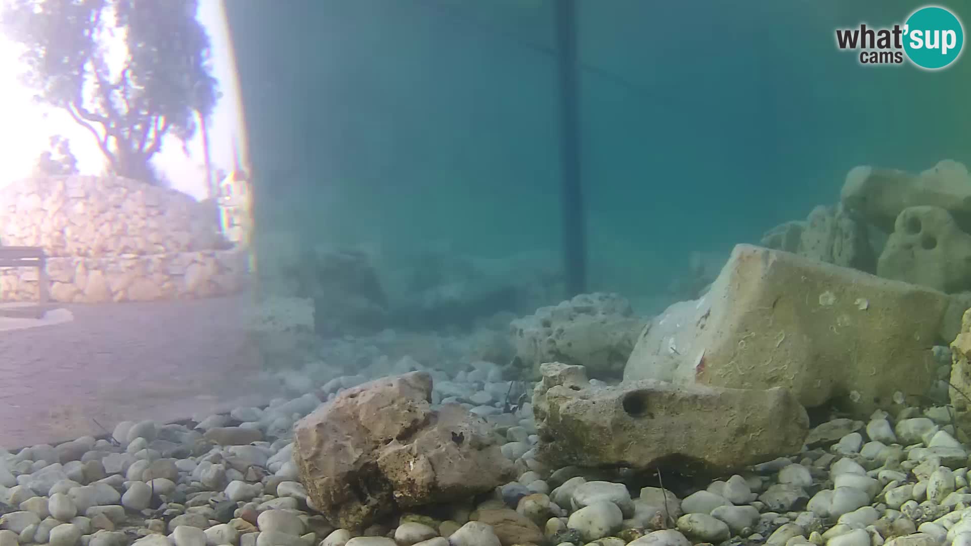 Marine Aquarium im Freien Rogoznica webcam Kroatien