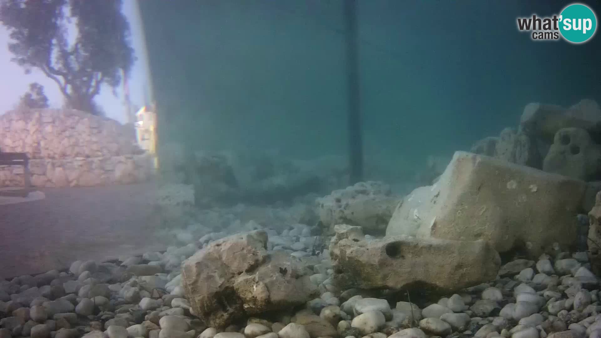 Acuario marino al aire libre Rogoznica webcam Croacia