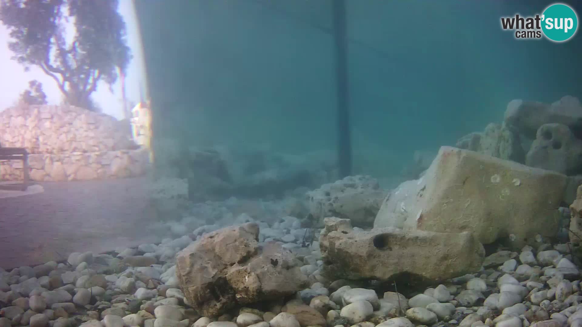 Webcam de l’aquarium marin extérieur de Rogoznica Croatie