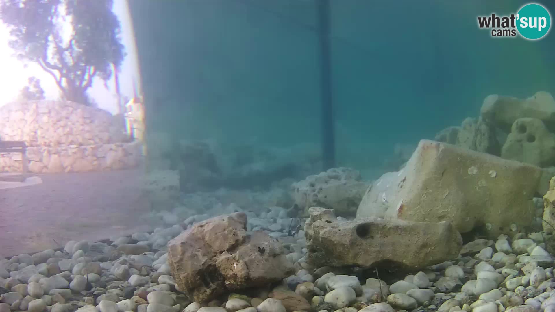 Webcam de l’aquarium marin extérieur de Rogoznica Croatie
