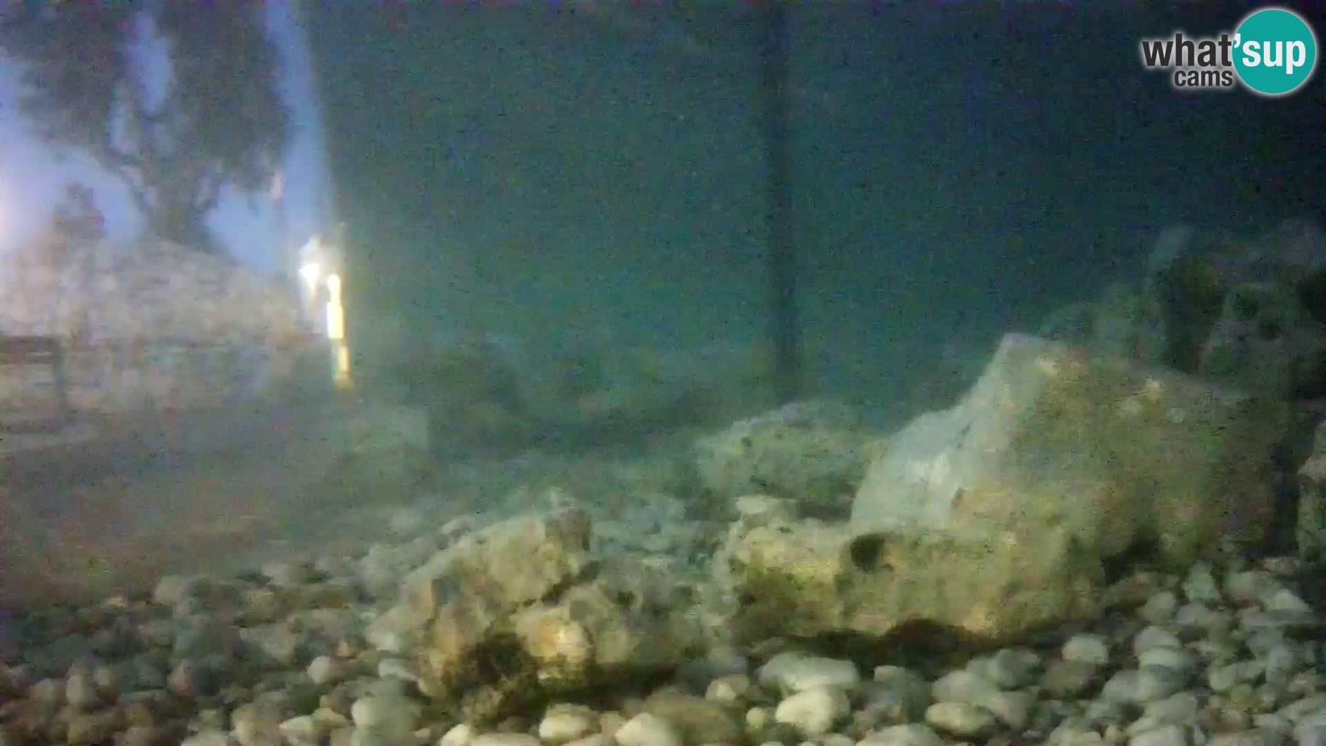 Webcam de l’aquarium marin extérieur de Rogoznica Croatie