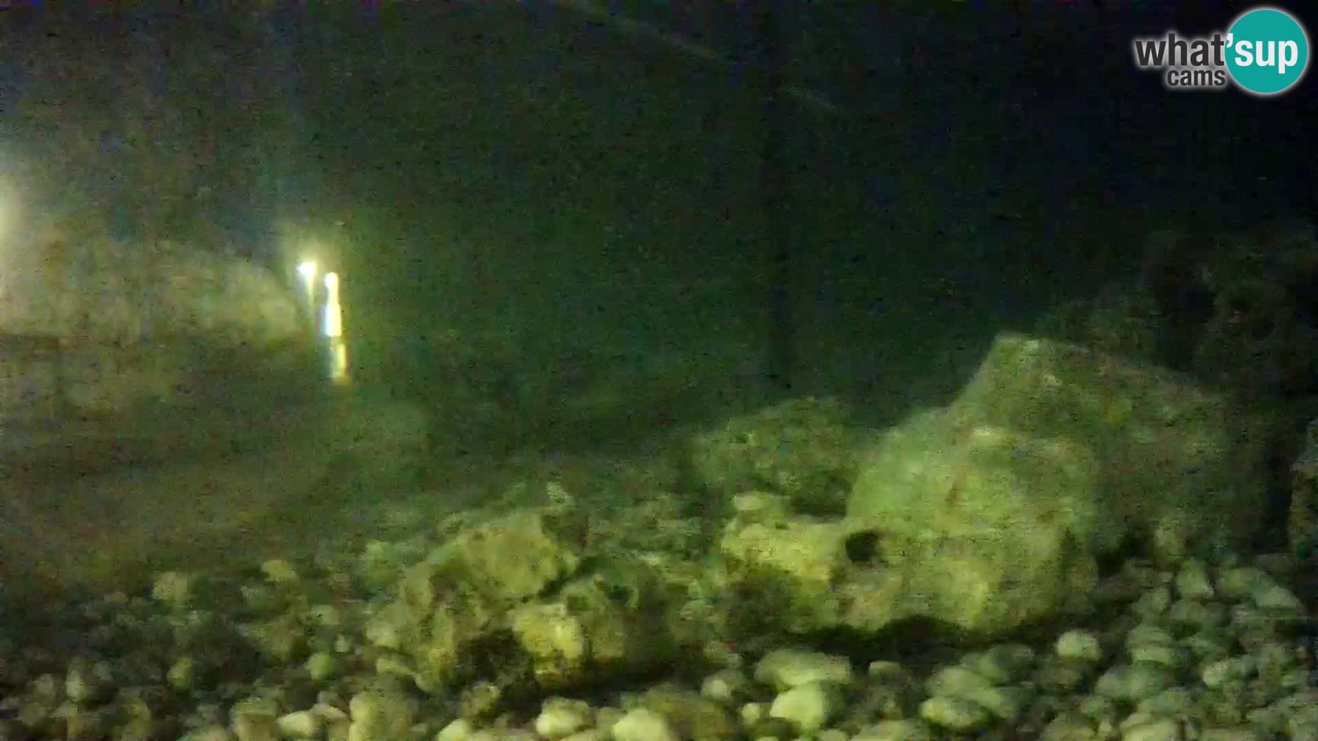 Acuario marino al aire libre Rogoznica webcam Croacia