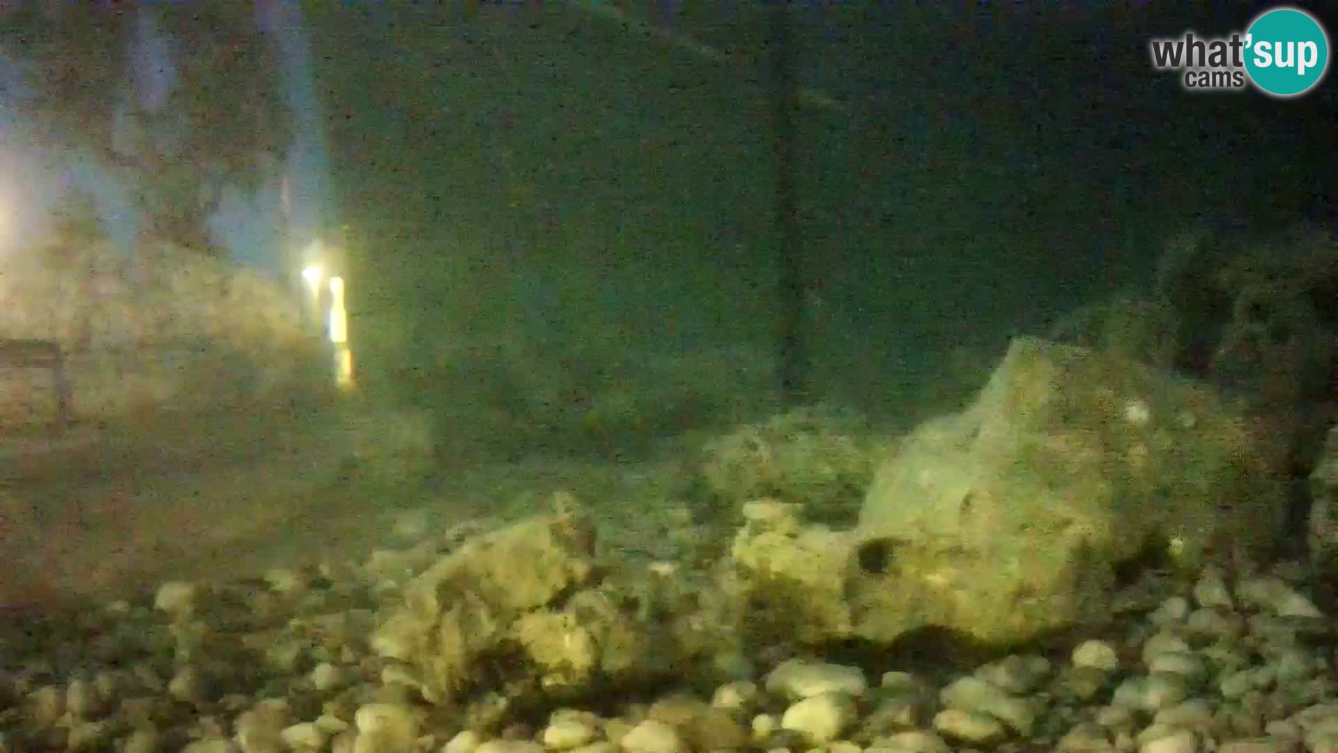 Zunanji morski akvarij Rogoznica spletna kamera Hrvaška