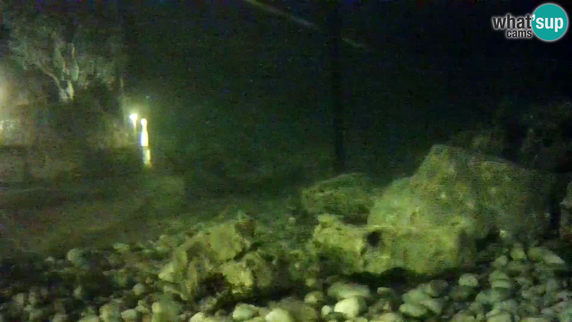 Acuario marino al aire libre Rogoznica webcam Croacia