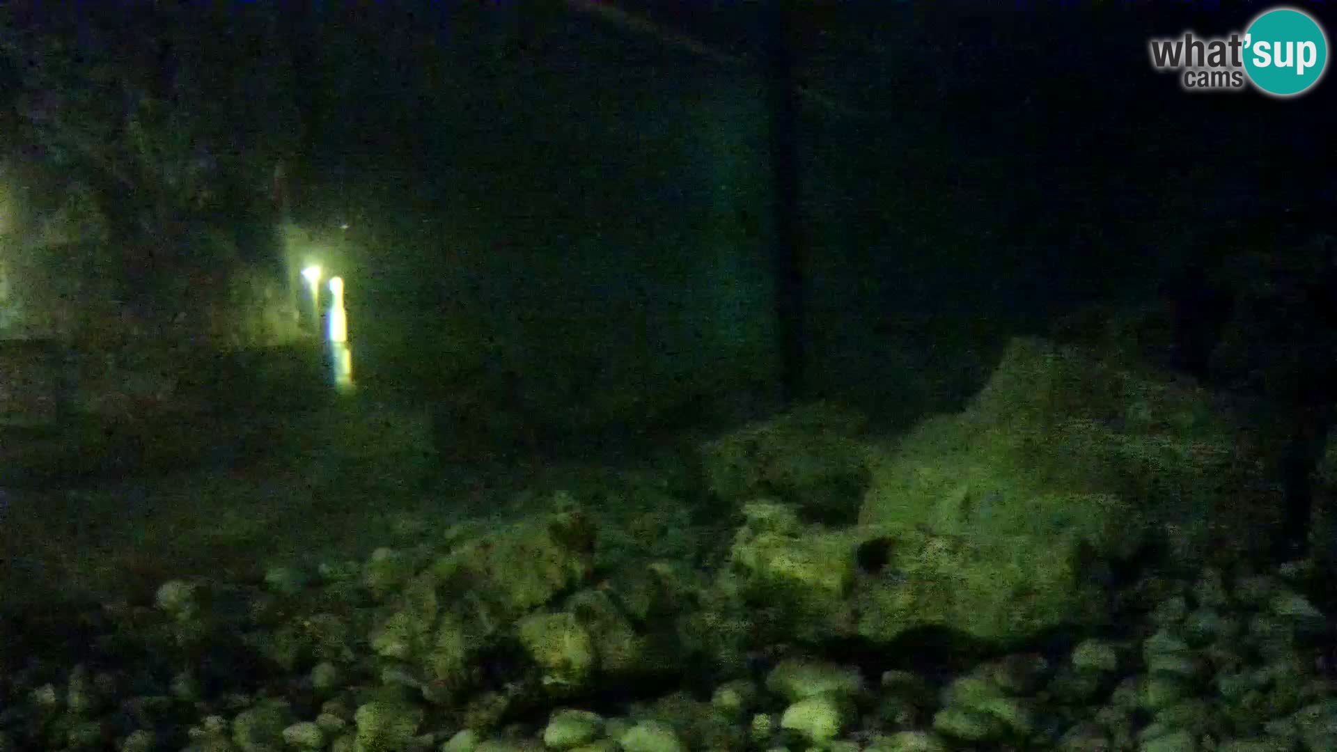 Aquario marino esterno –  Rogoznica livecam Croazia