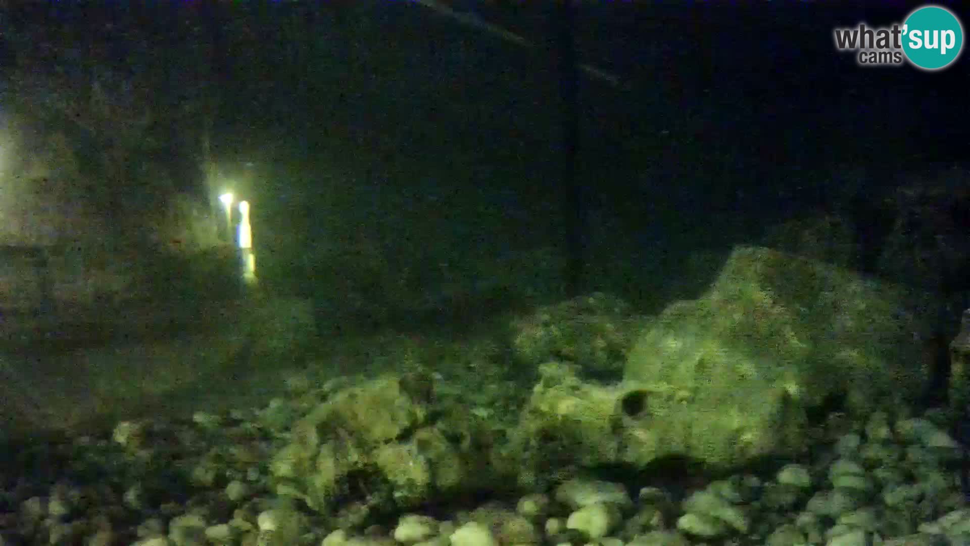Webcam de l’aquarium marin extérieur de Rogoznica Croatie