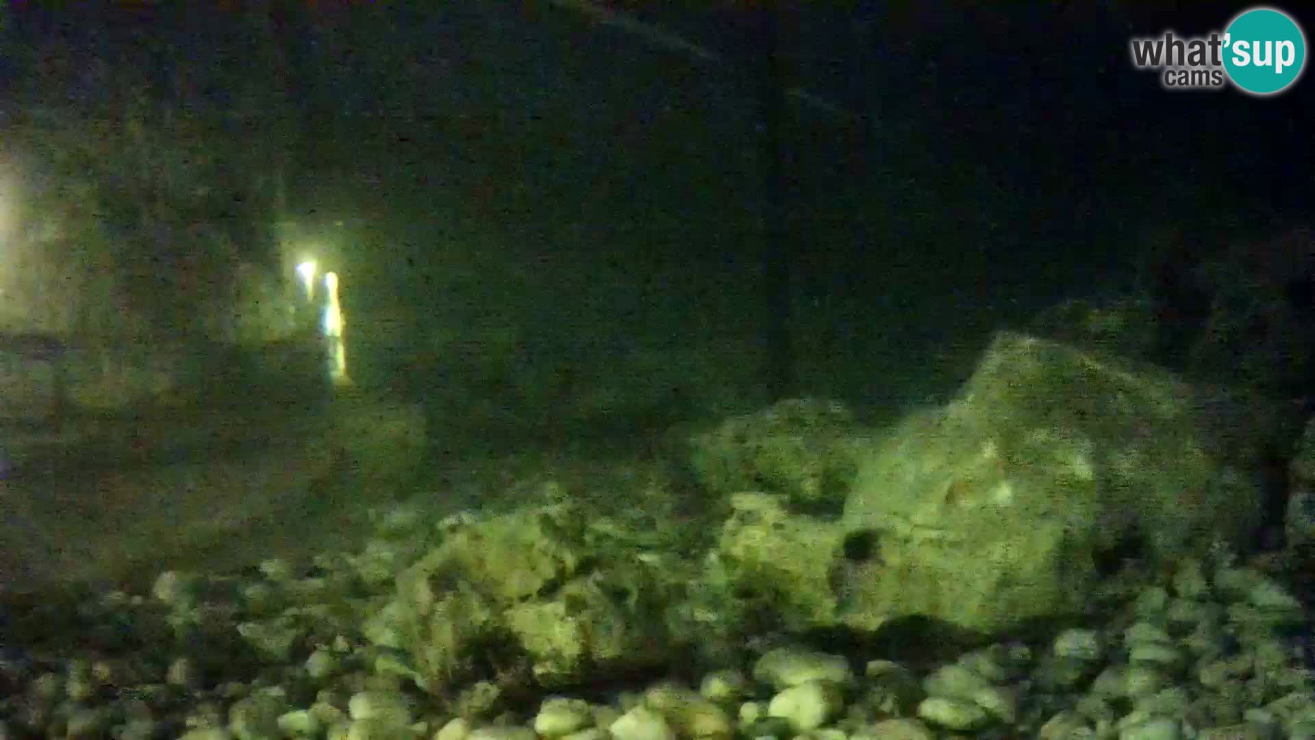 Acuario marino al aire libre Rogoznica webcam Croacia