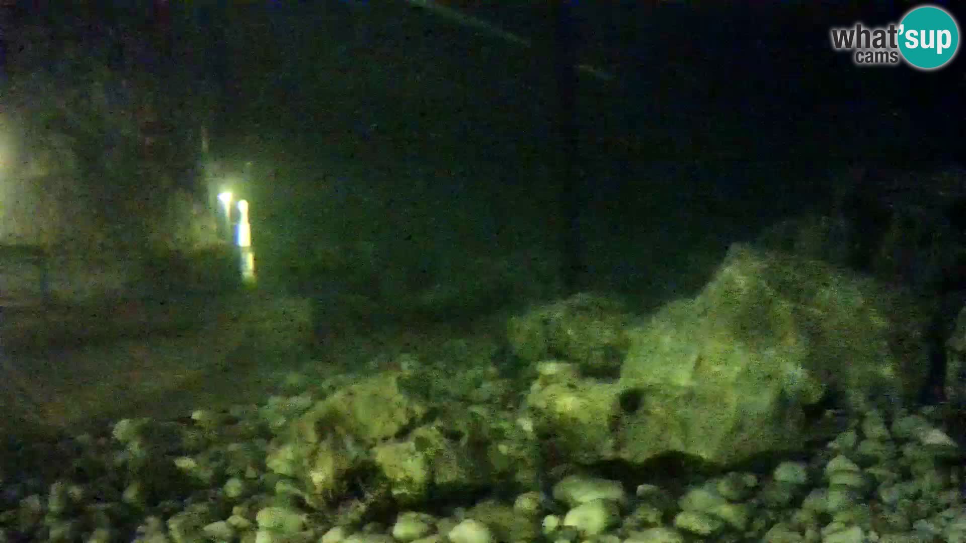 Acuario marino al aire libre Rogoznica webcam Croacia