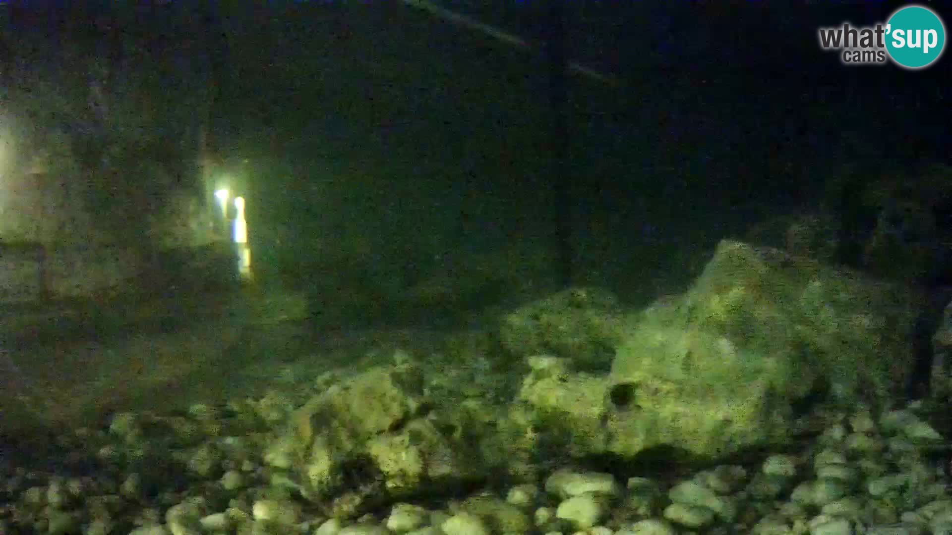 Acuario marino al aire libre Rogoznica webcam Croacia