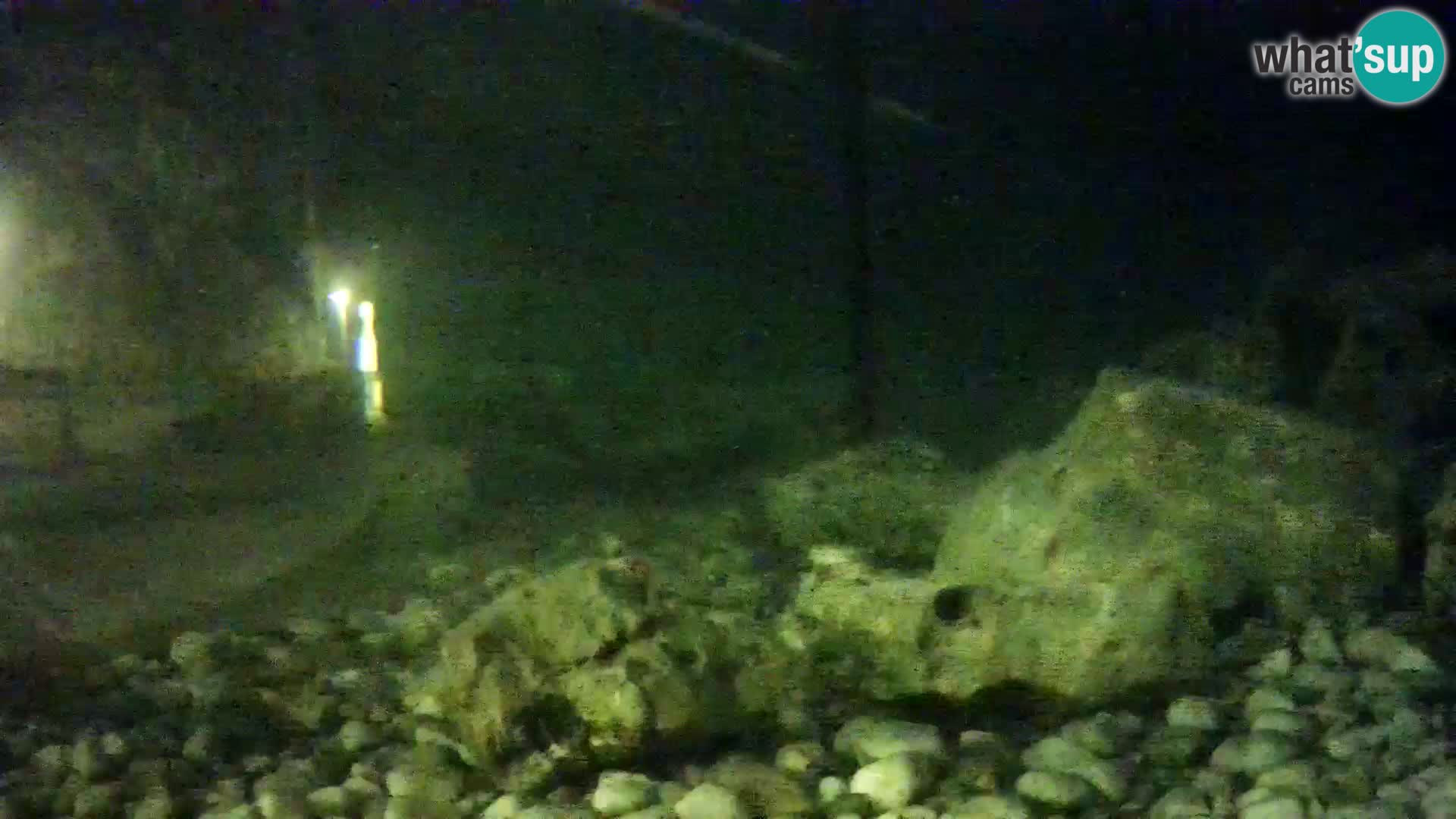 Acuario marino al aire libre Rogoznica webcam Croacia