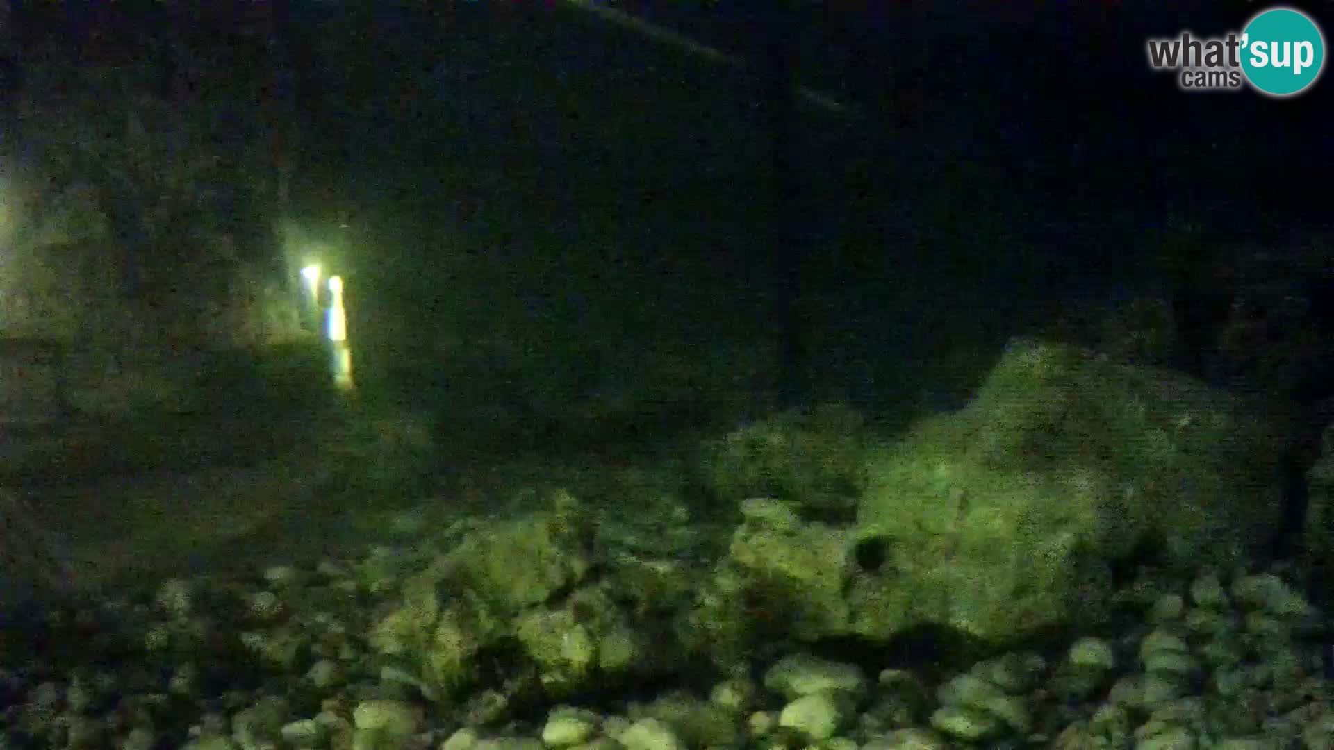 Acuario marino al aire libre Rogoznica webcam Croacia