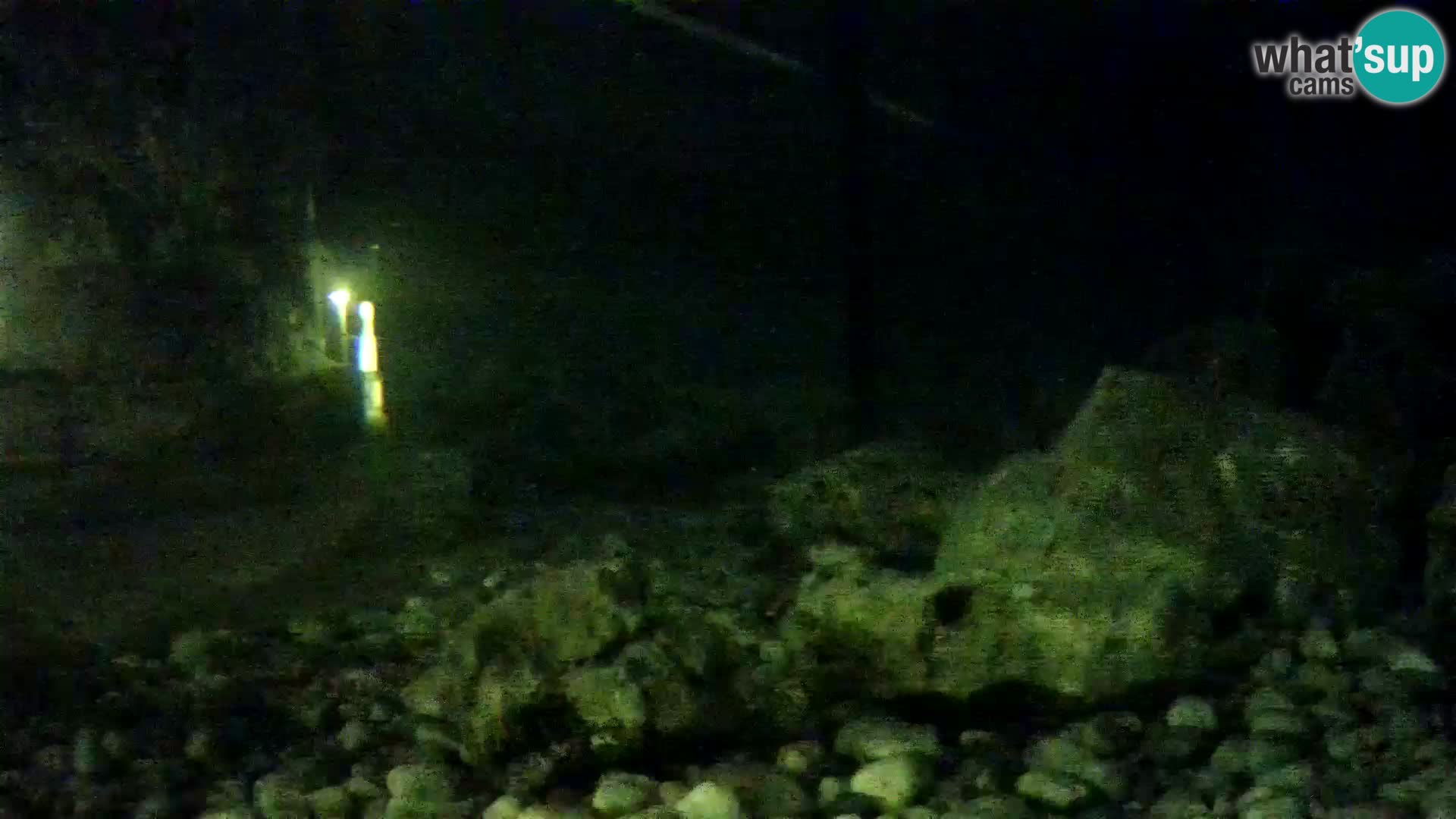 Aquario marino esterno –  Rogoznica livecam Croazia