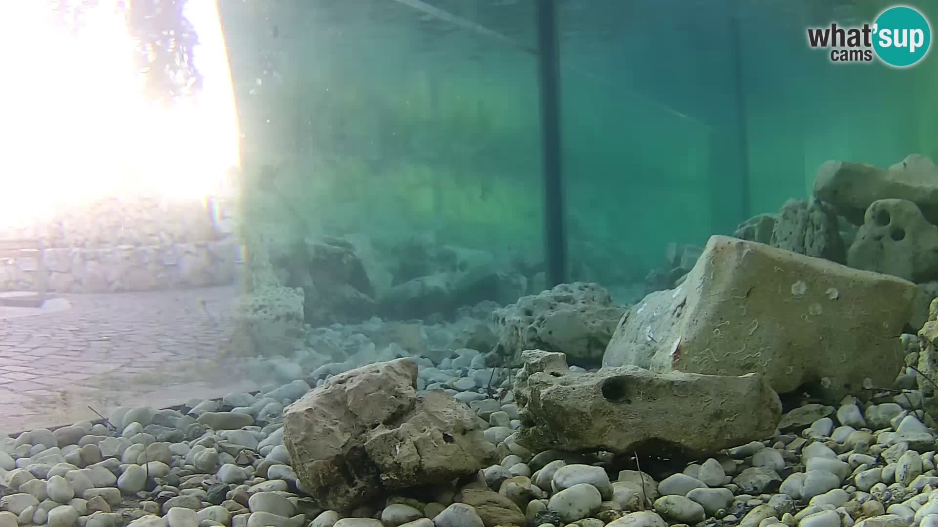 Outdoor Marine Aquarium Rogoznica webcam Croatia