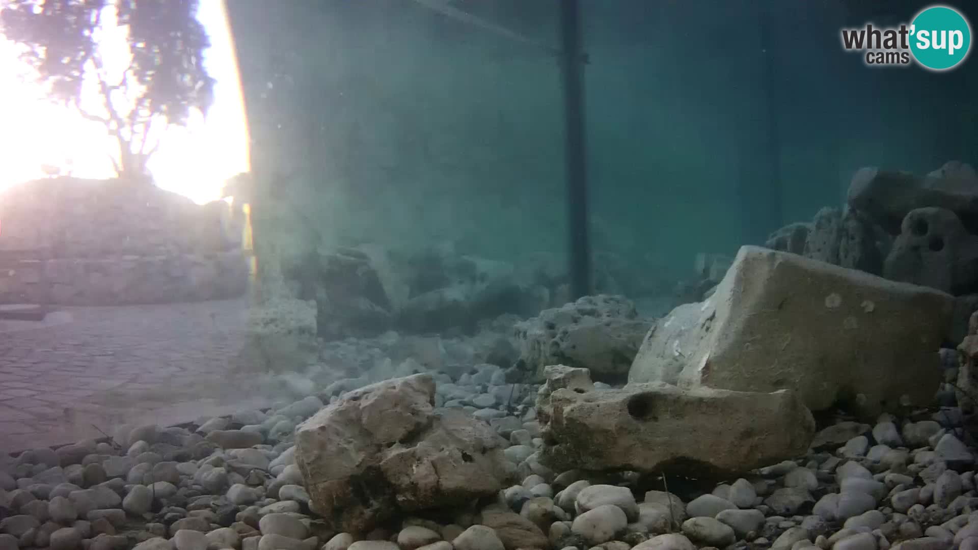 Webcam de l’aquarium marin extérieur de Rogoznica Croatie