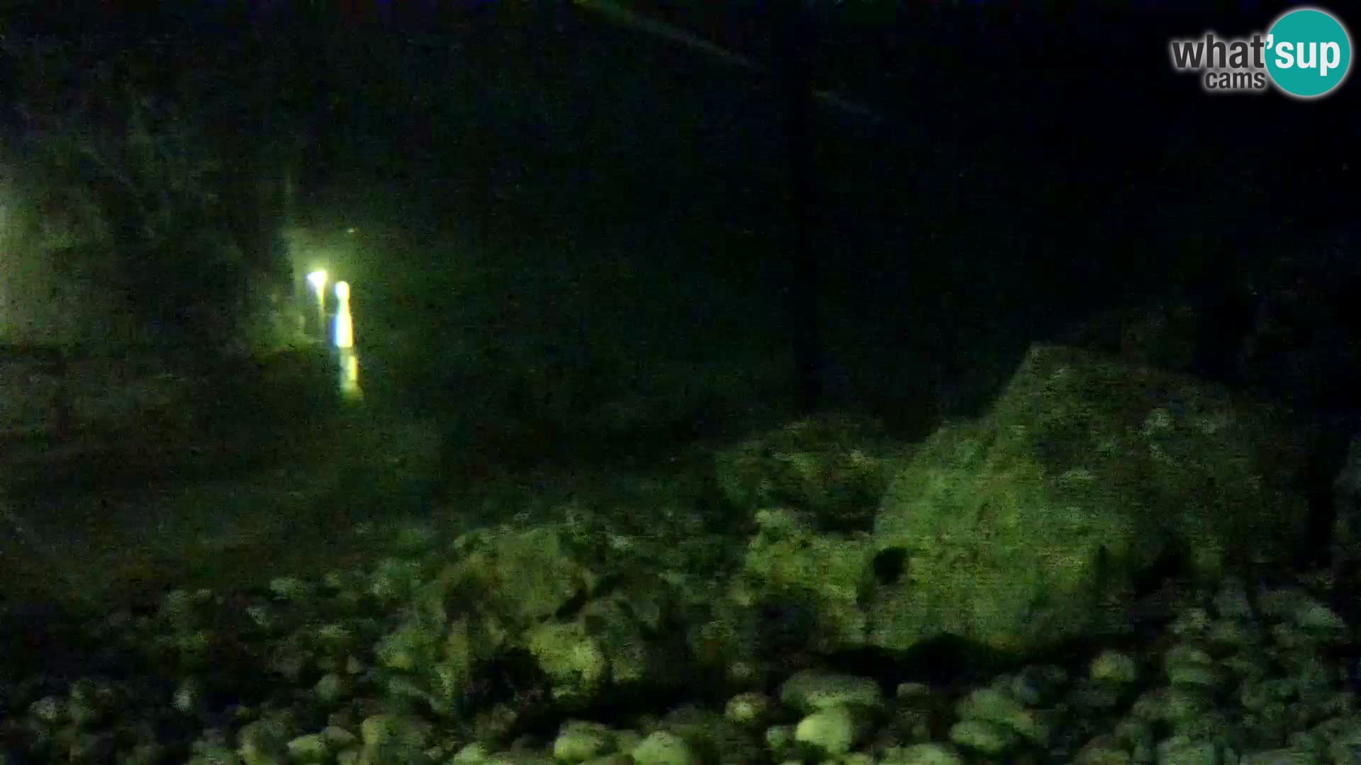Acuario marino al aire libre Rogoznica webcam Croacia