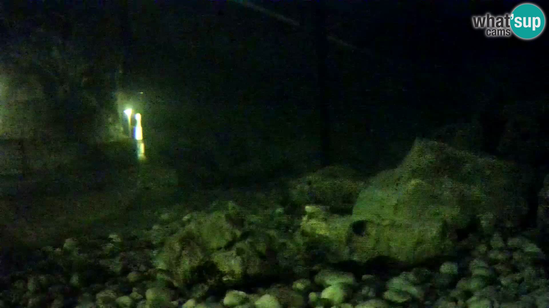 Webcam de l’aquarium marin extérieur de Rogoznica Croatie