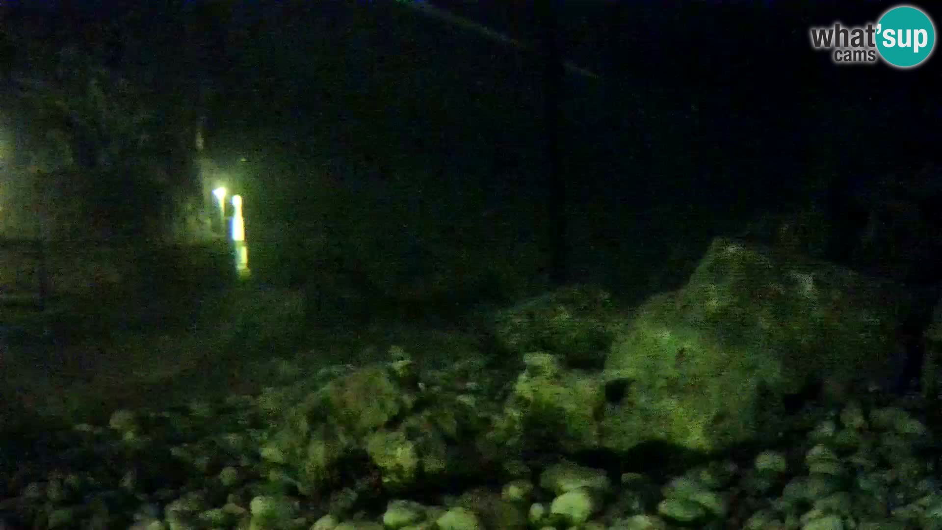 Acuario marino al aire libre Rogoznica webcam Croacia