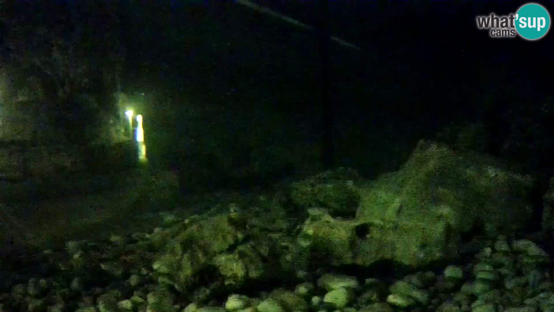 Aquario marino esterno –  Rogoznica livecam Croazia