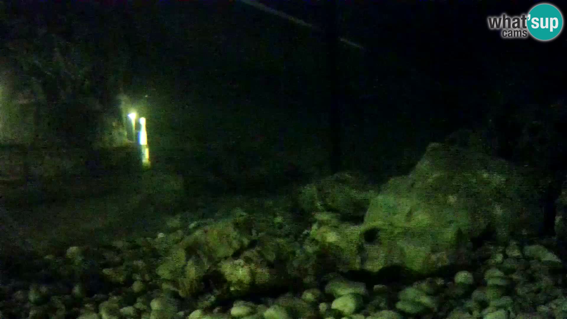 Aquario marino esterno –  Rogoznica livecam Croazia
