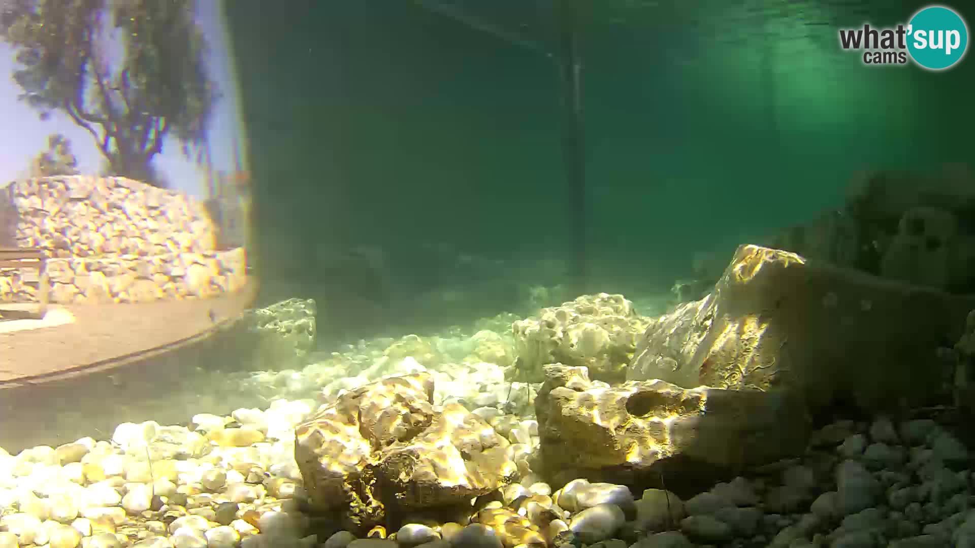 Outdoor Marine Aquarium Rogoznica webcam Croatia