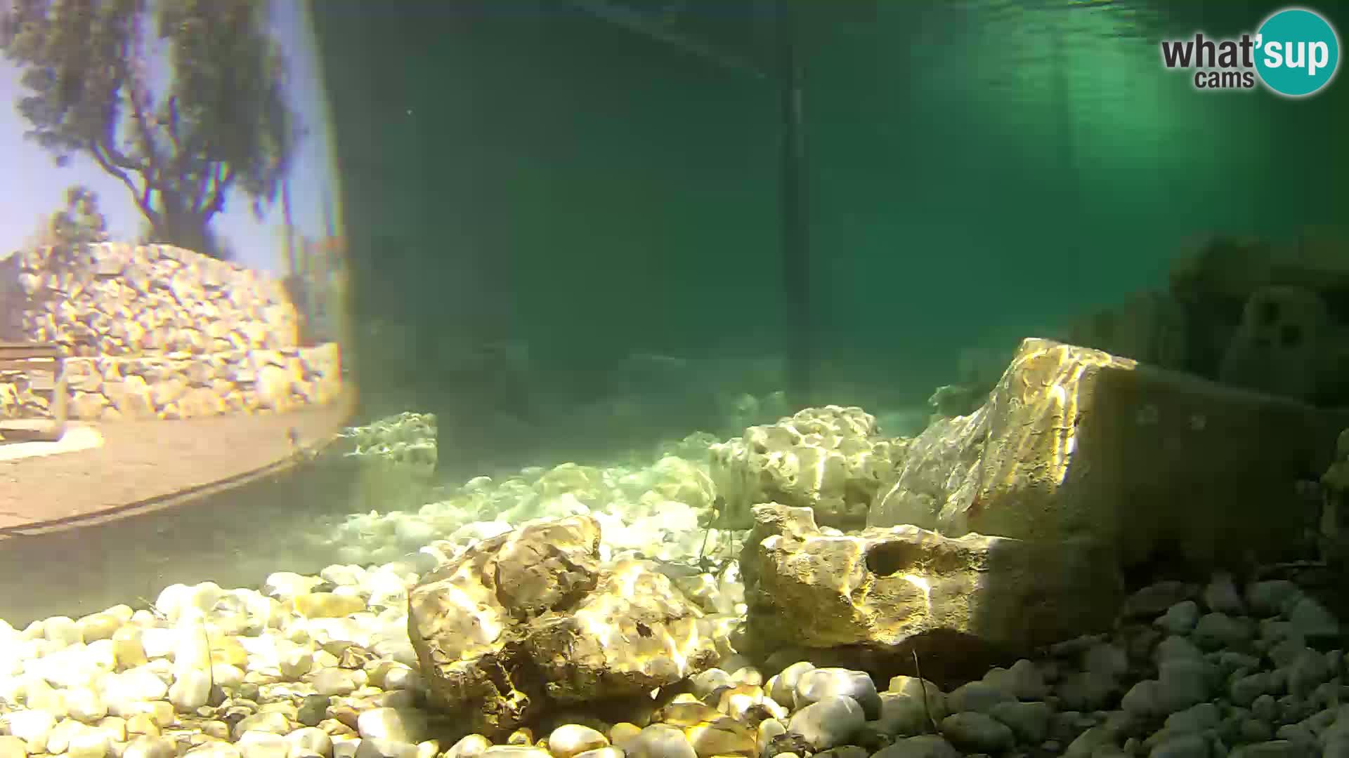 Marine Aquarium im Freien Rogoznica webcam Kroatien