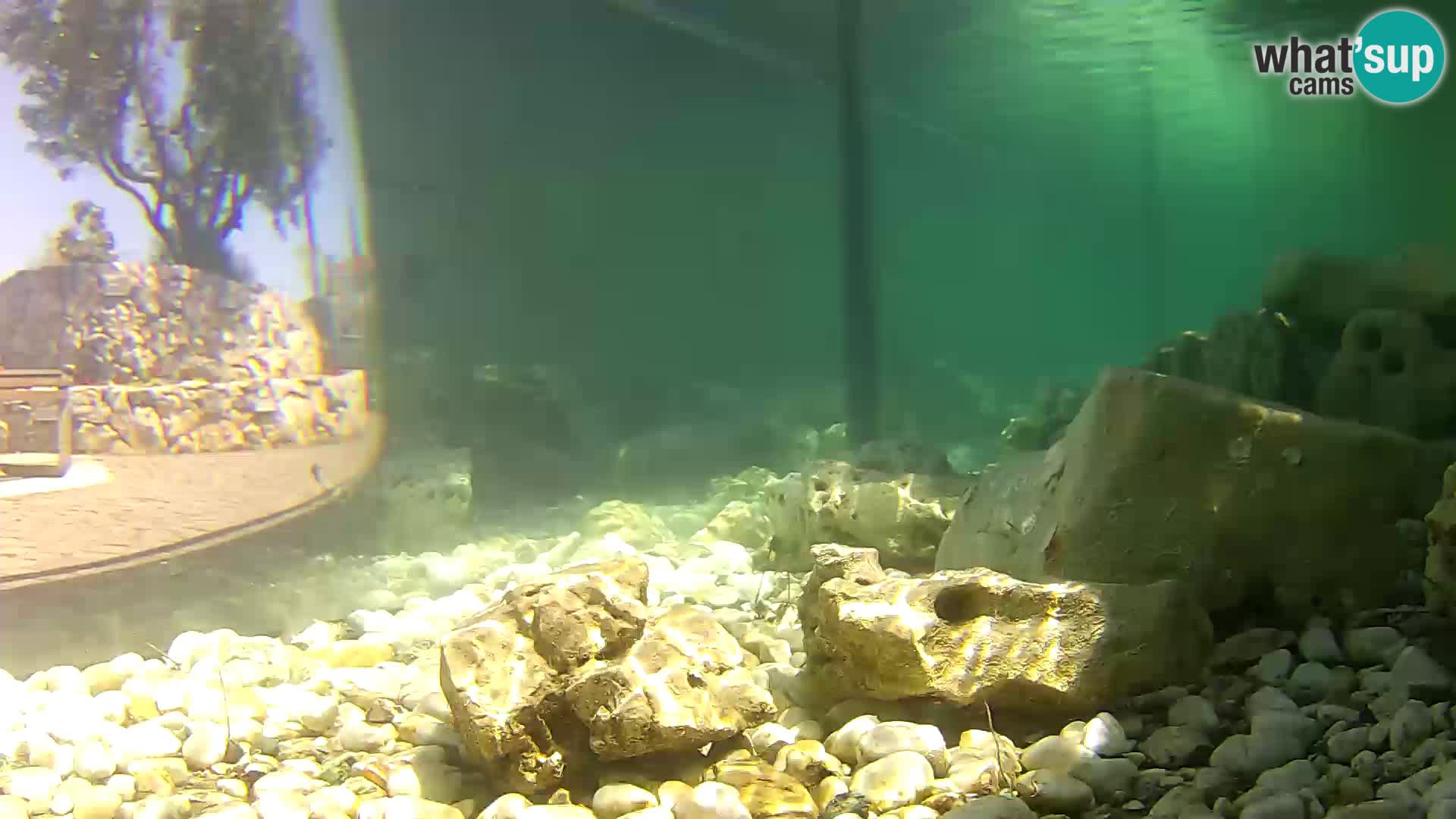 Outdoor Marine Aquarium Rogoznica webcam Croatia