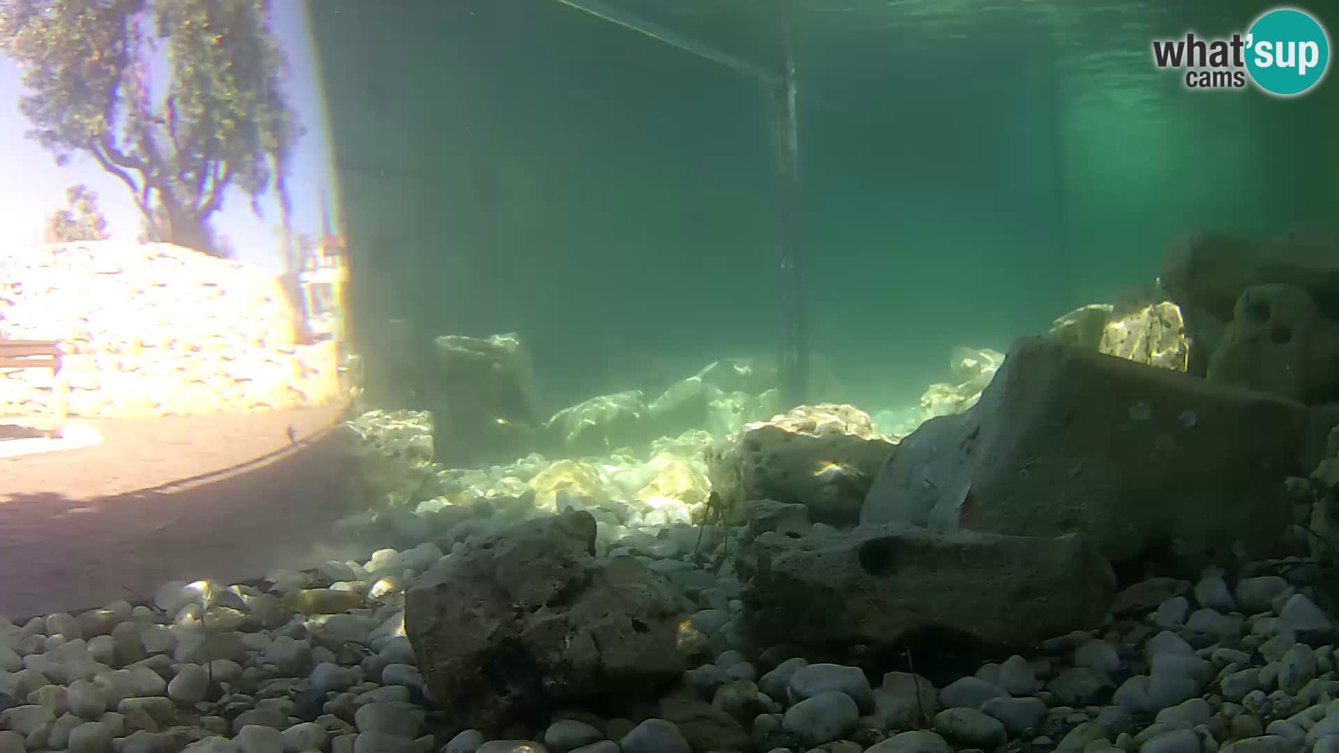 Marine Aquarium im Freien Rogoznica webcam Kroatien