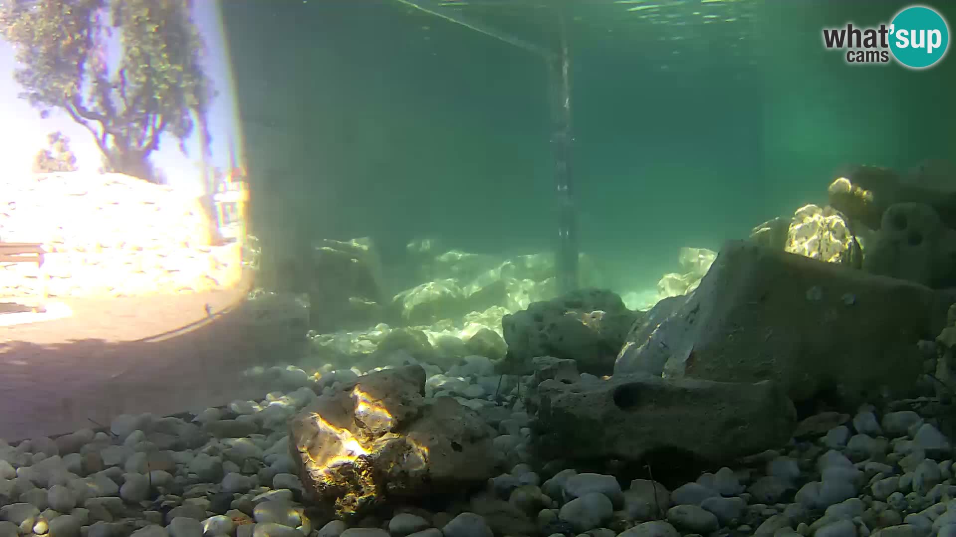 Marine Aquarium im Freien Rogoznica webcam Kroatien