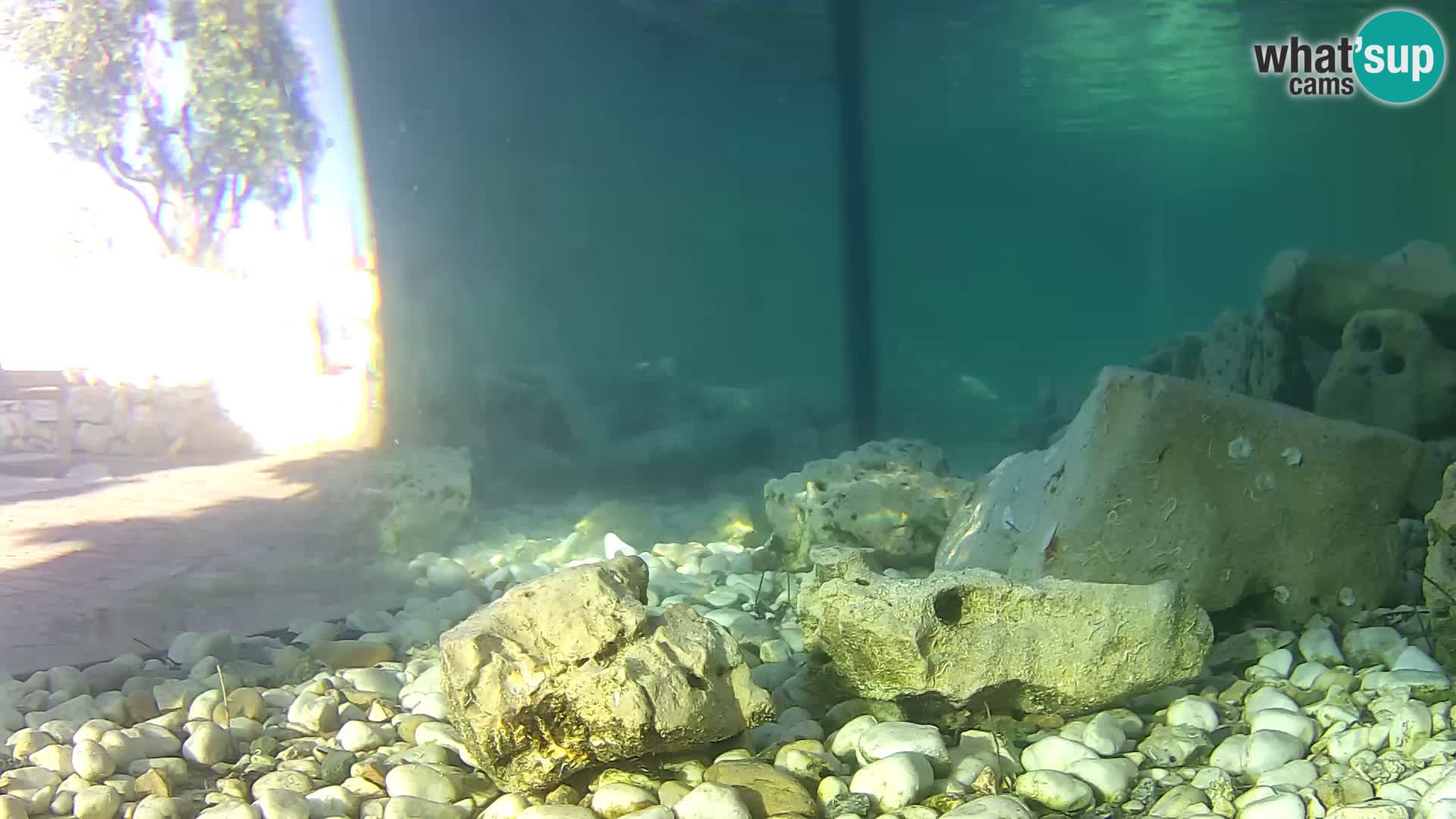 Marine Aquarium im Freien Rogoznica webcam Kroatien