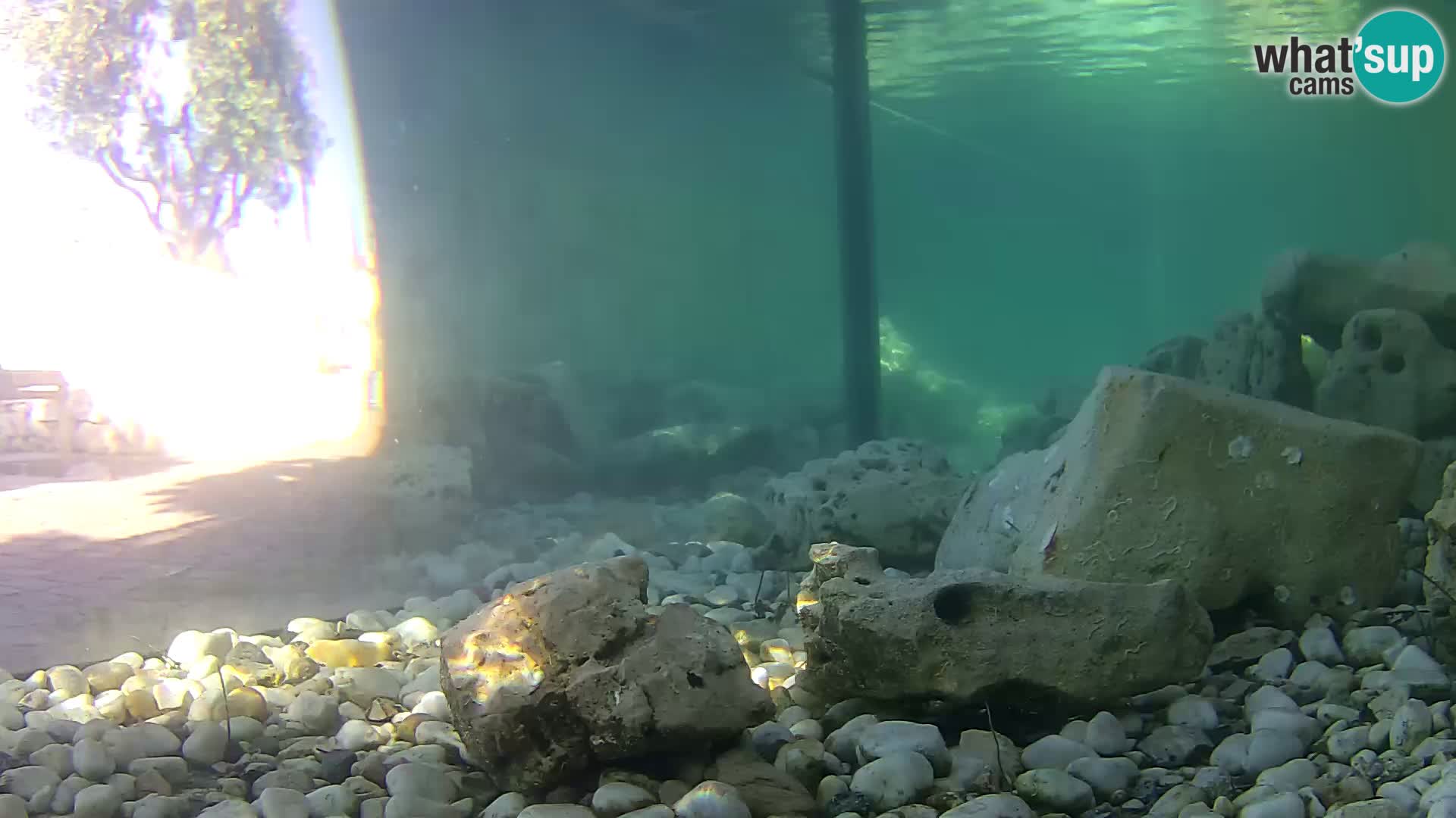 Outdoor Marine Aquarium Rogoznica webcam Croatia