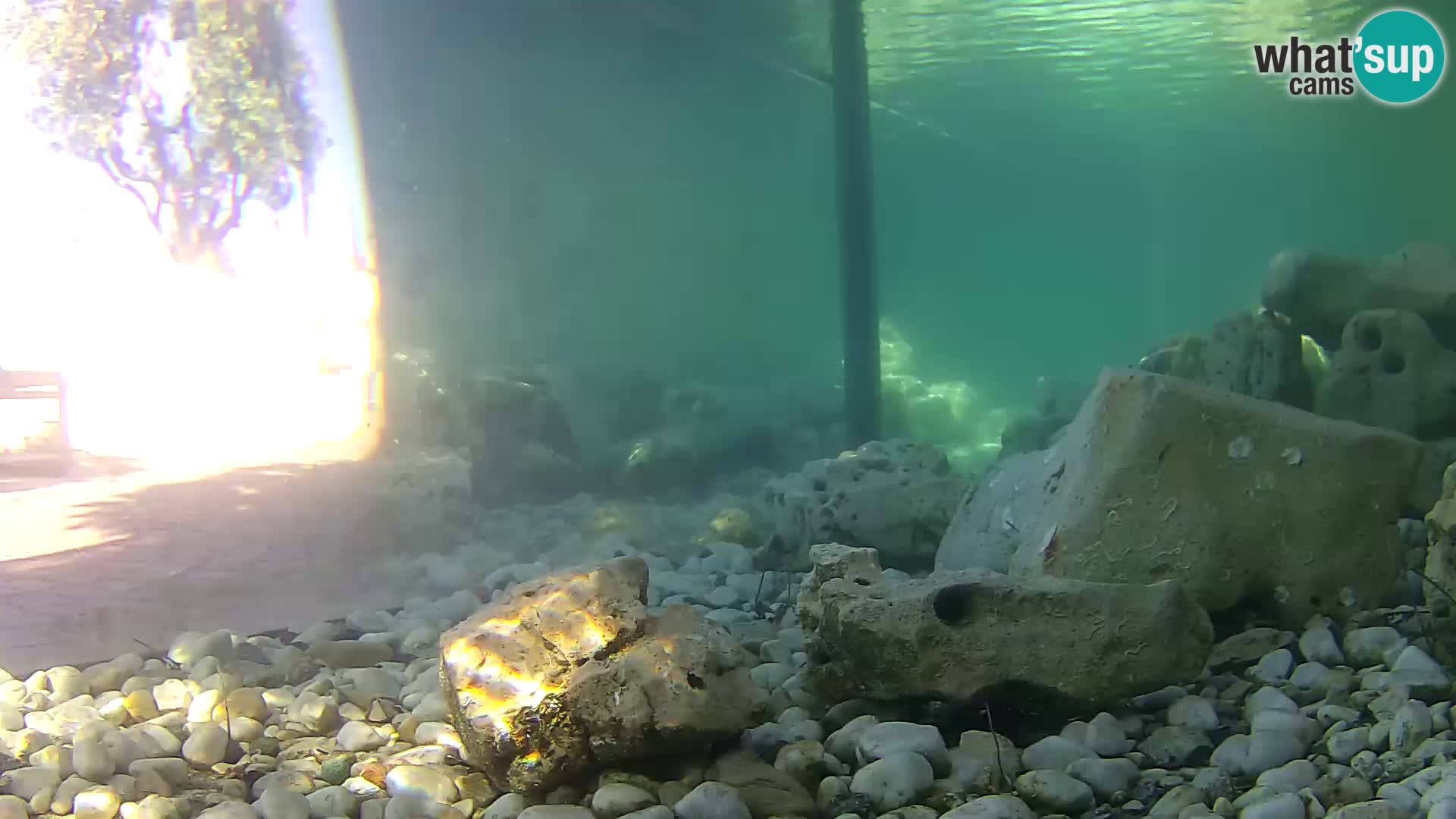 Aquario marino esterno –  Rogoznica livecam Croazia