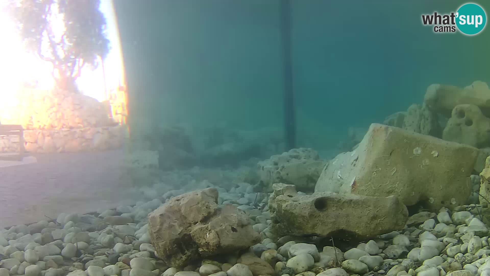 Webcam de l’aquarium marin extérieur de Rogoznica Croatie
