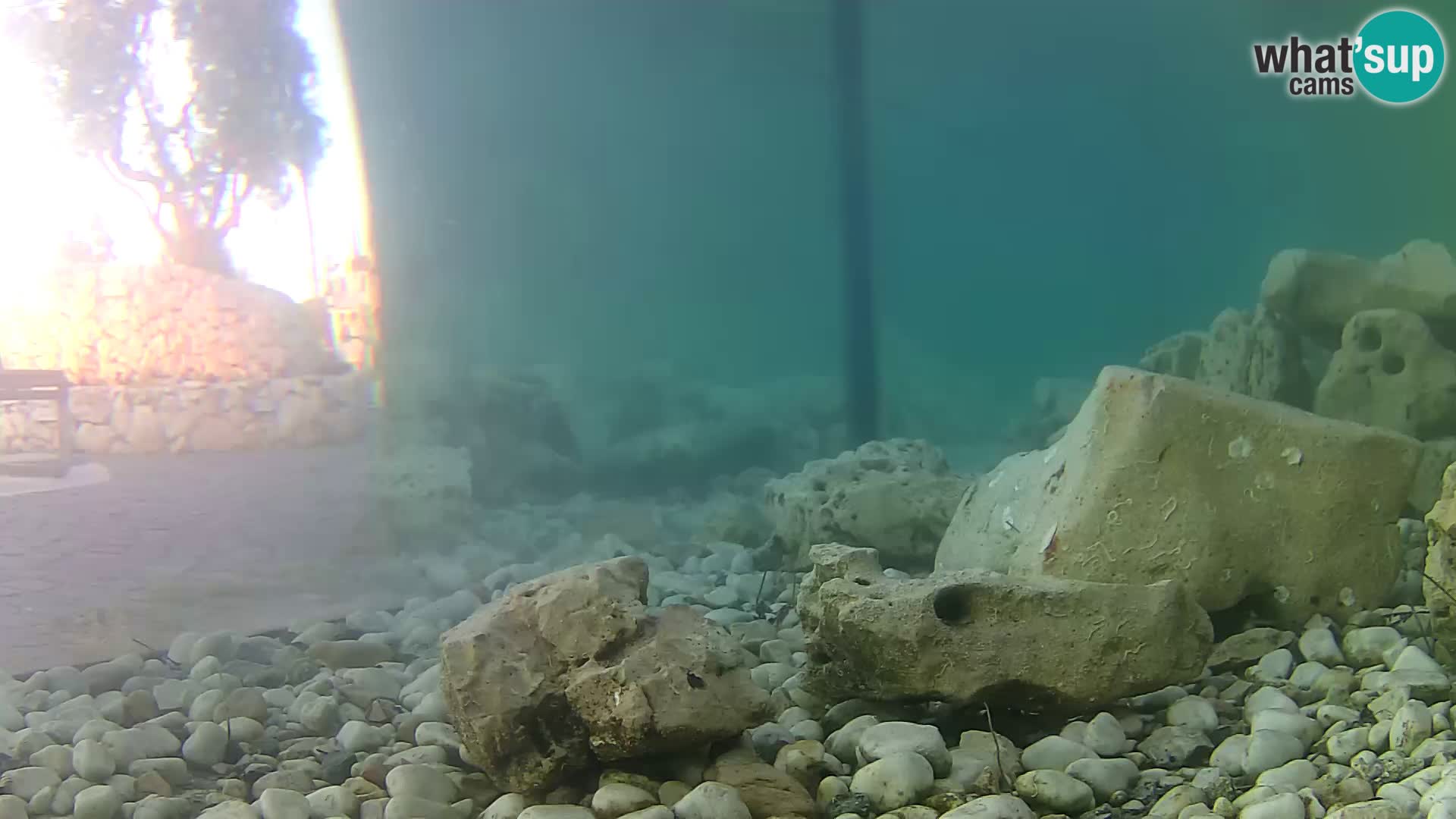 Marine Aquarium im Freien Rogoznica webcam Kroatien