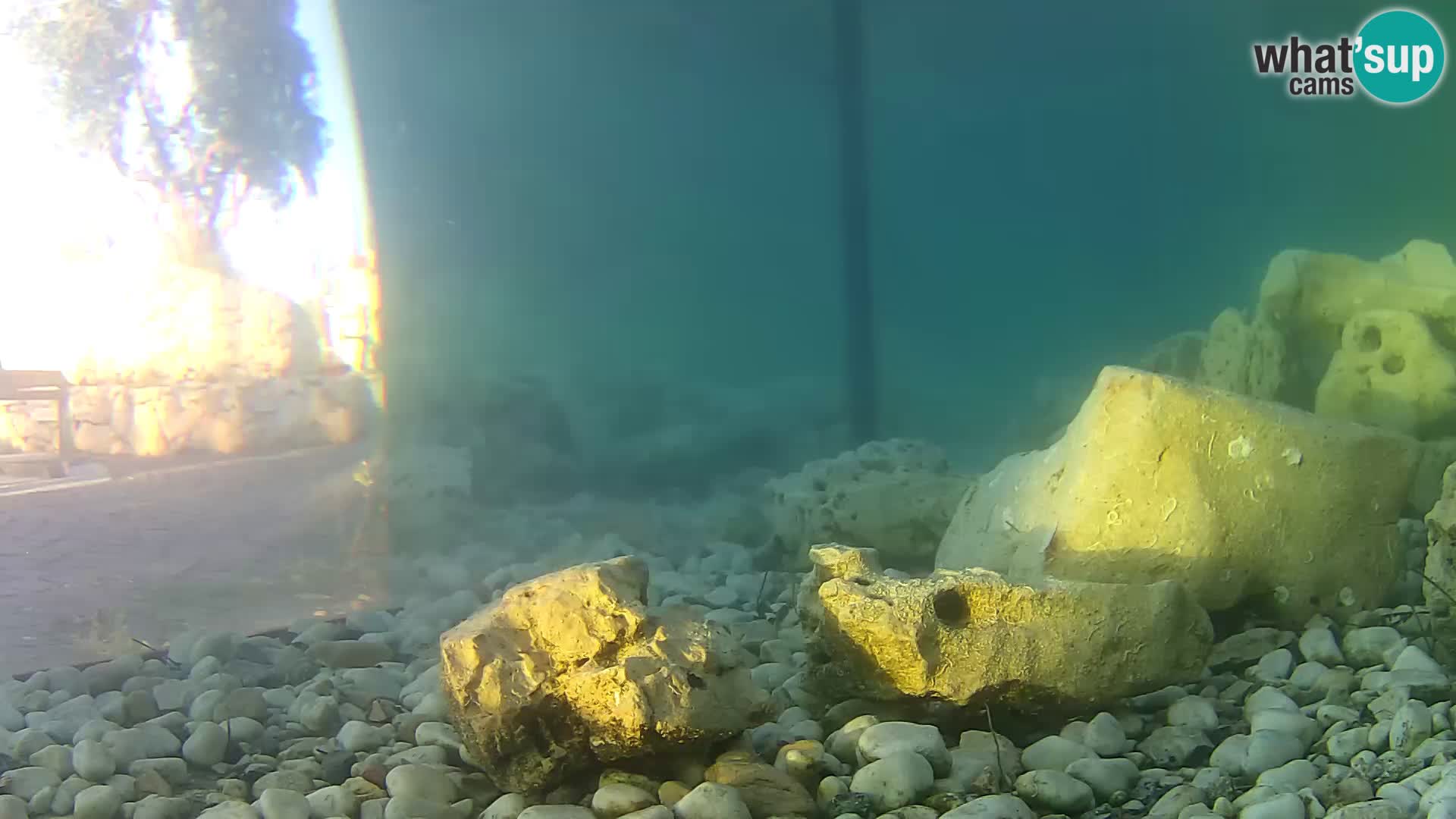 Marine Aquarium im Freien Rogoznica webcam Kroatien