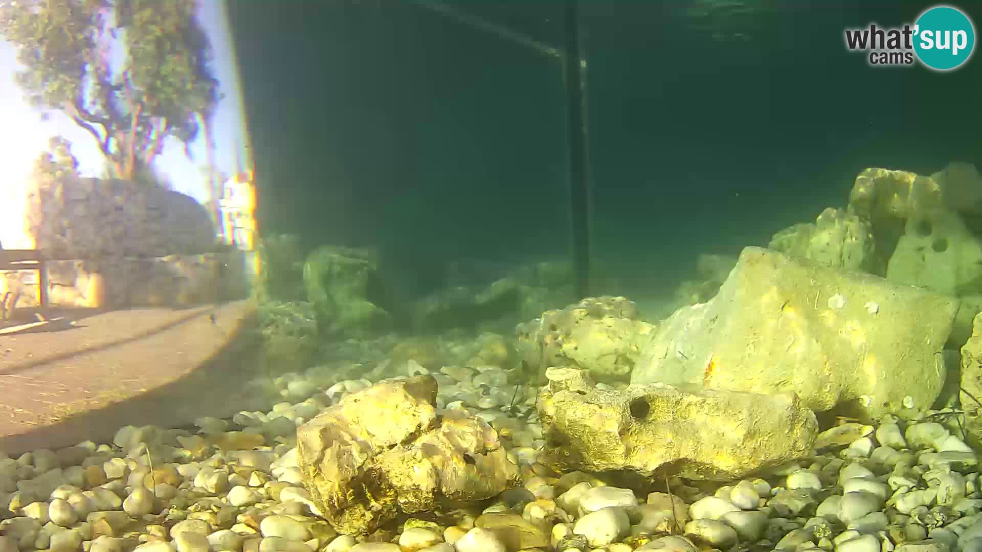 Unterwasserkamera Brijuni – Čamčarnica