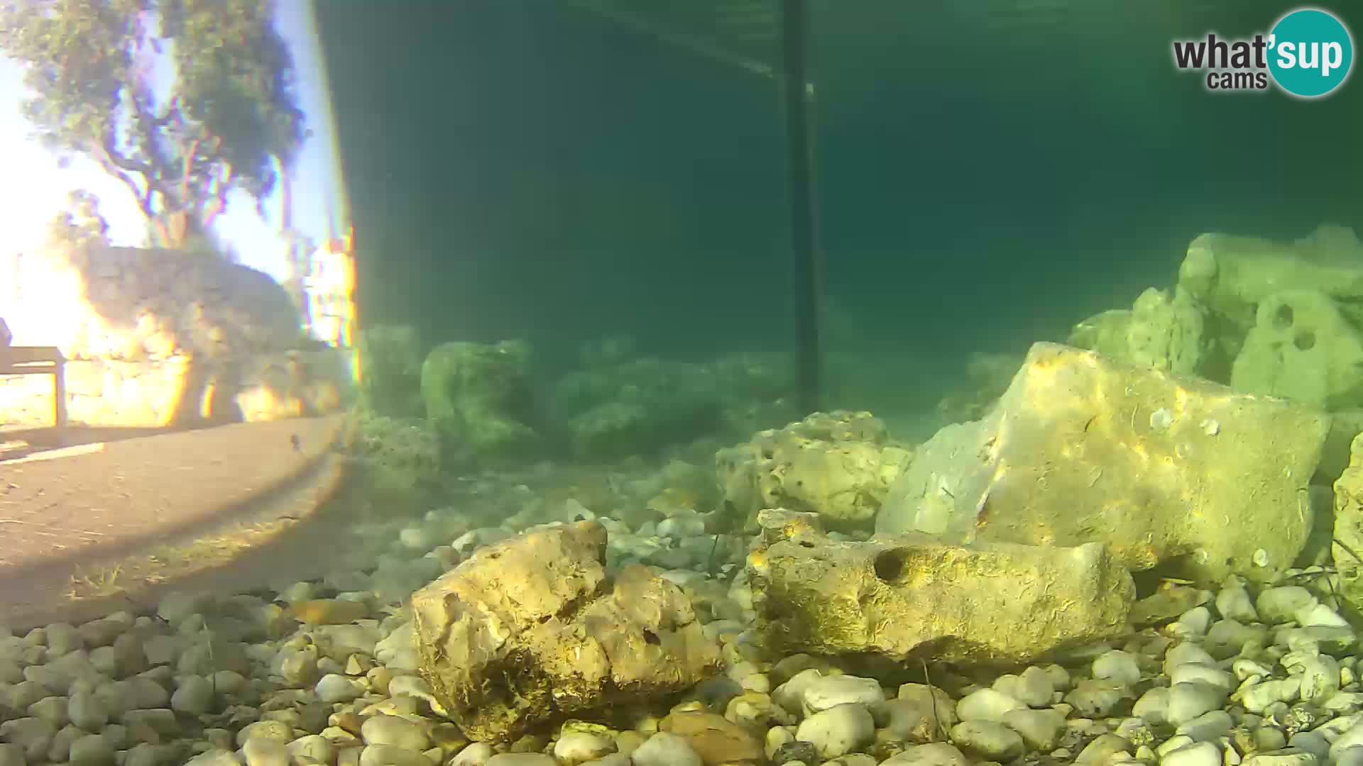 Marine Aquarium im Freien Rogoznica webcam Kroatien