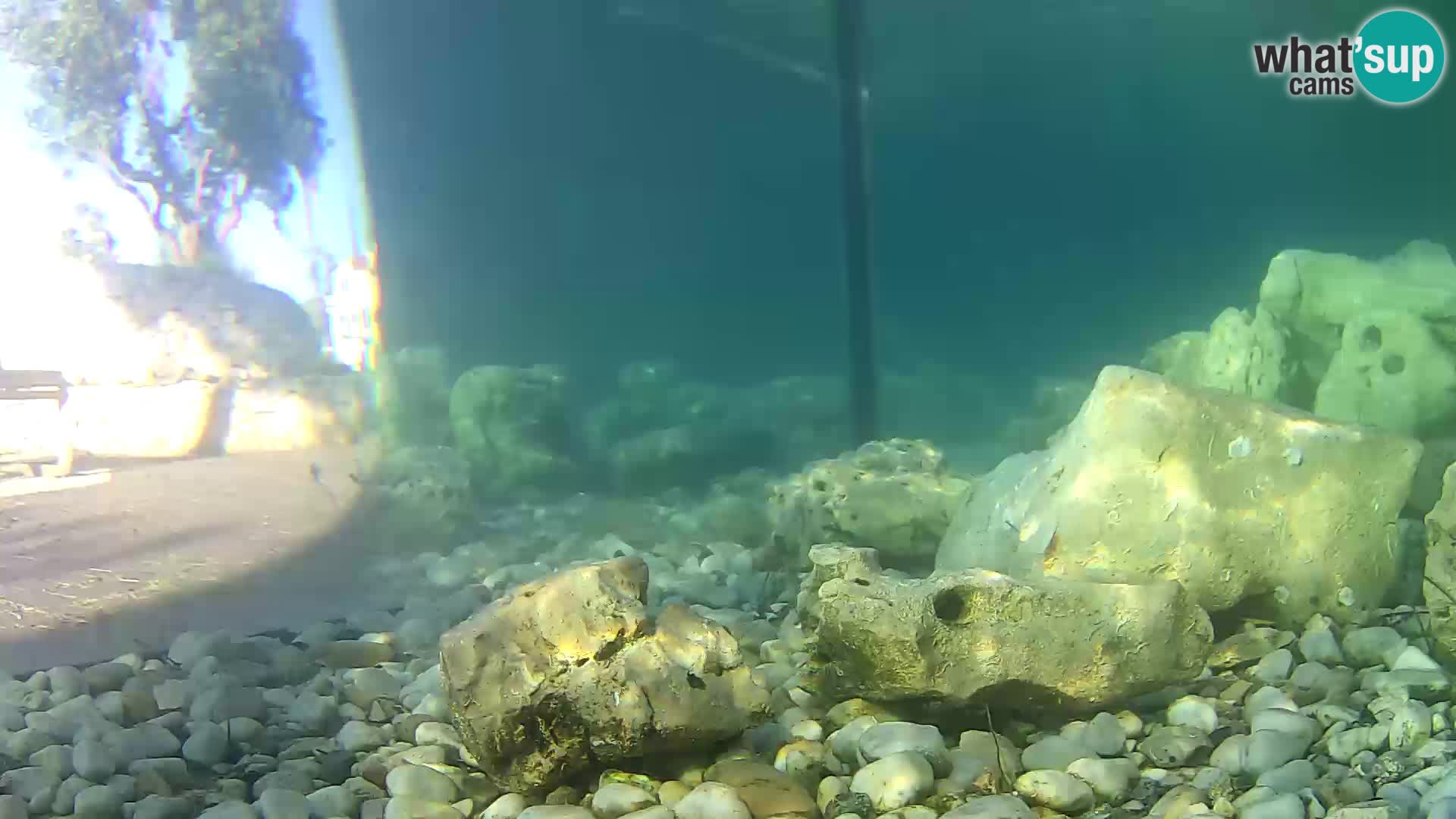 Marine Aquarium im Freien Rogoznica webcam Kroatien