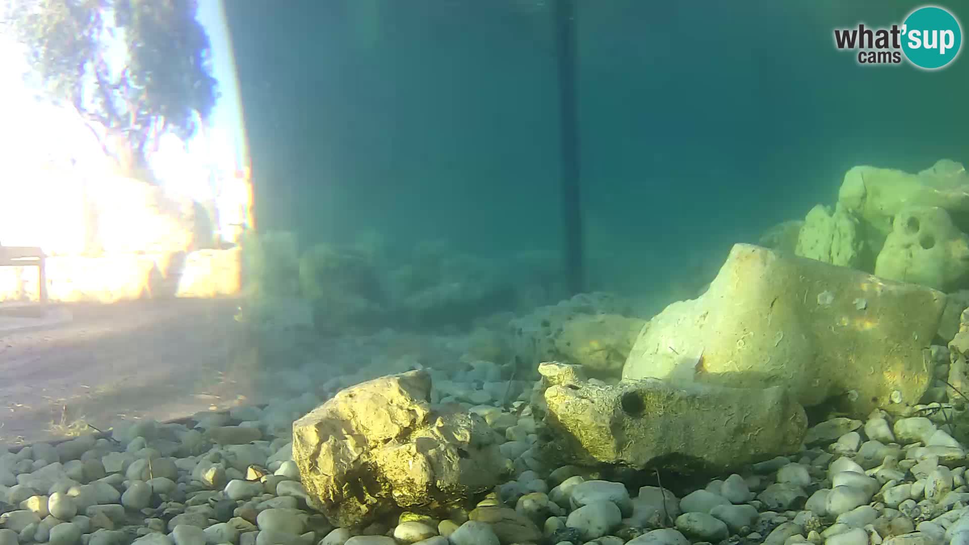 Marine Aquarium im Freien Rogoznica webcam Kroatien